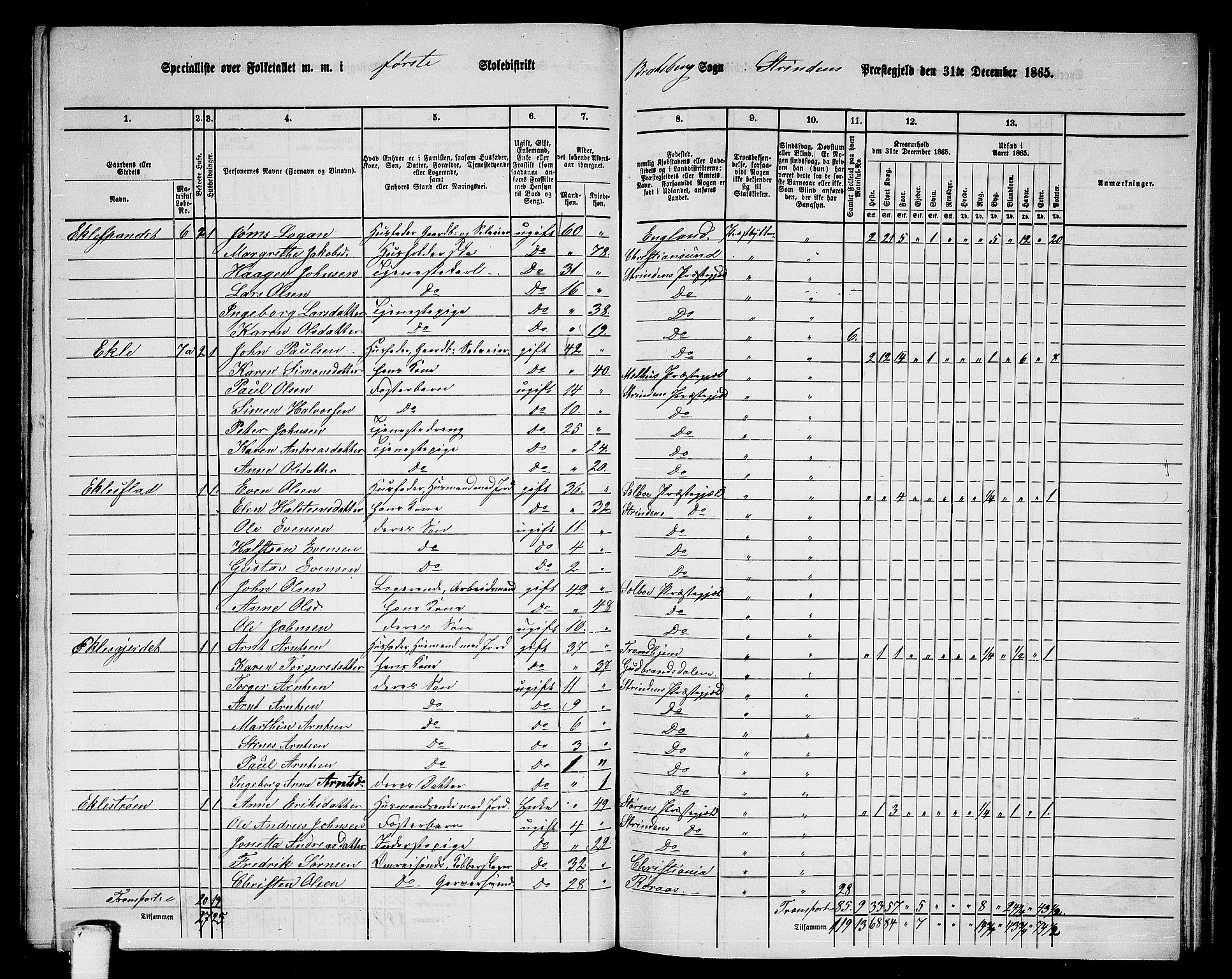 RA, 1865 census for Strinda, 1865, p. 164