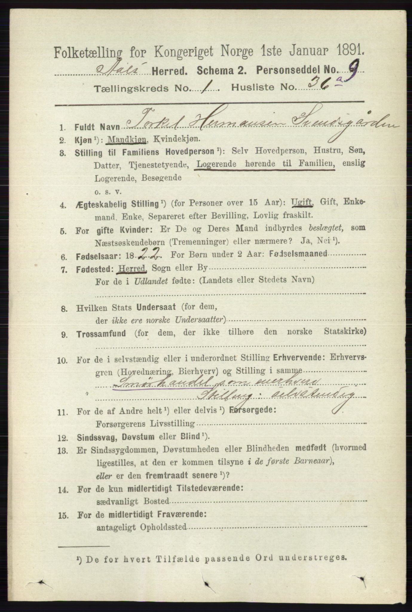 RA, 1891 census for 0619 Ål, 1891, p. 253