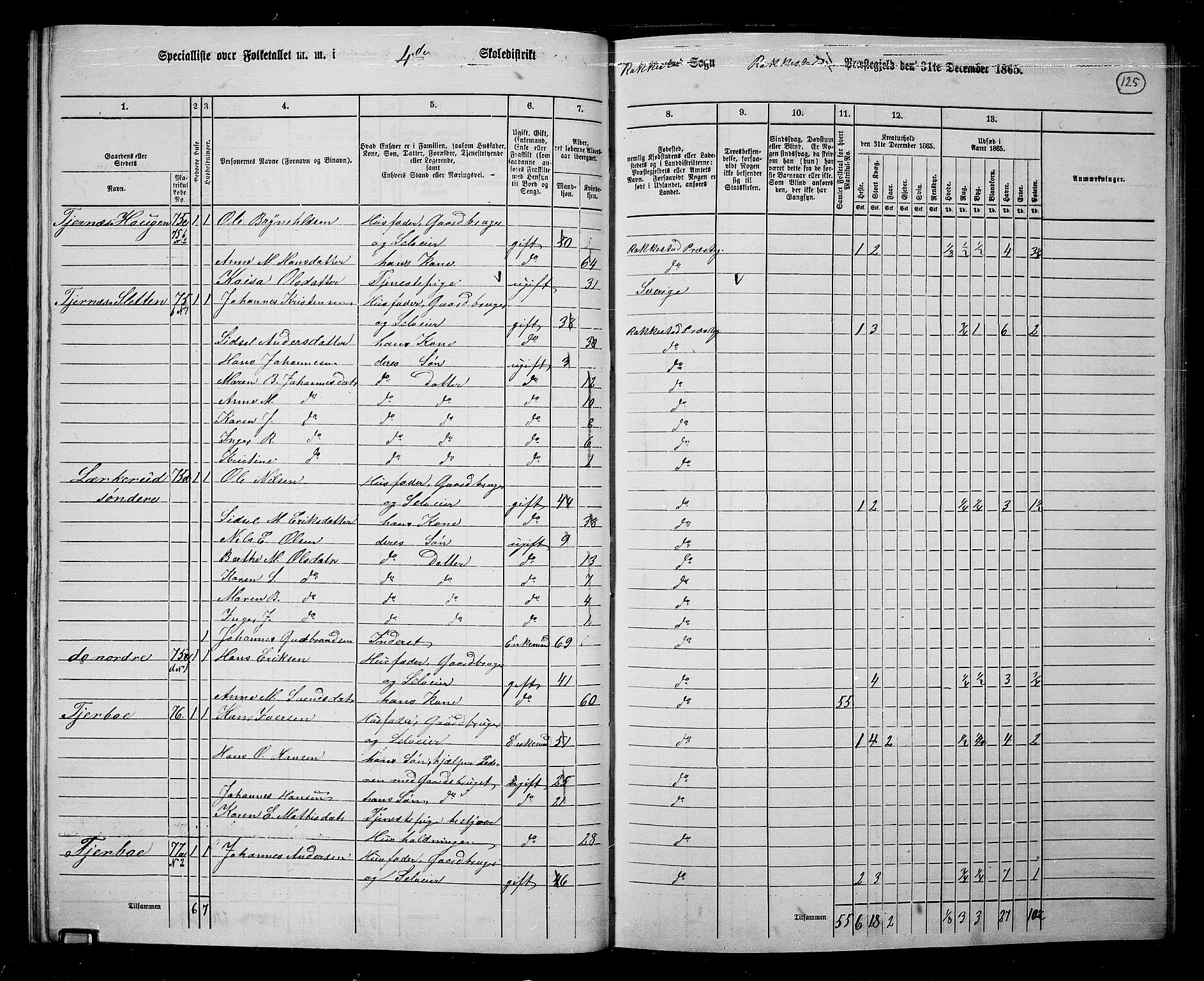 RA, 1865 census for Rakkestad, 1865, p. 123