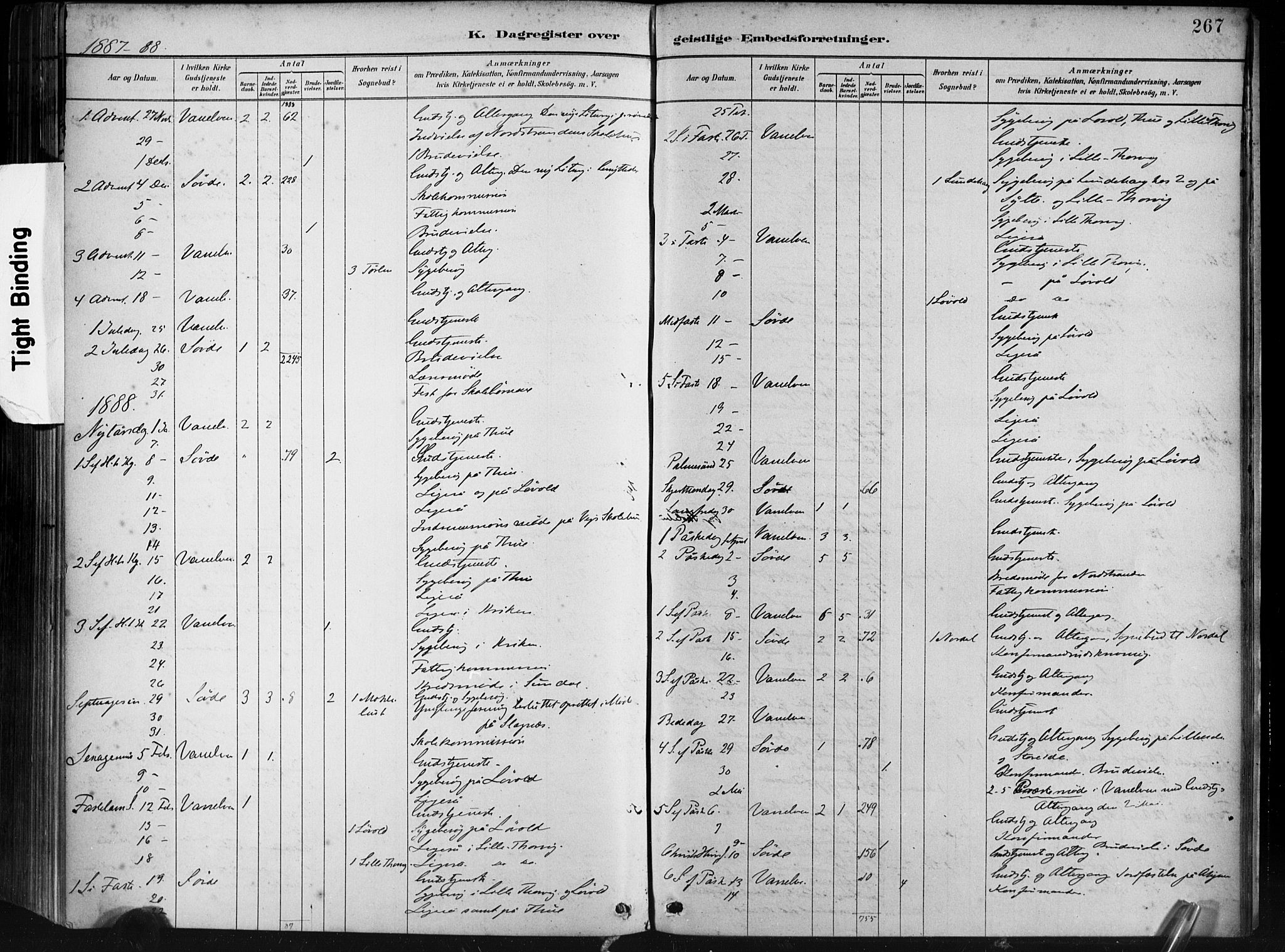 Ministerialprotokoller, klokkerbøker og fødselsregistre - Møre og Romsdal, AV/SAT-A-1454/501/L0008: Parish register (official) no. 501A08, 1885-1901, p. 267