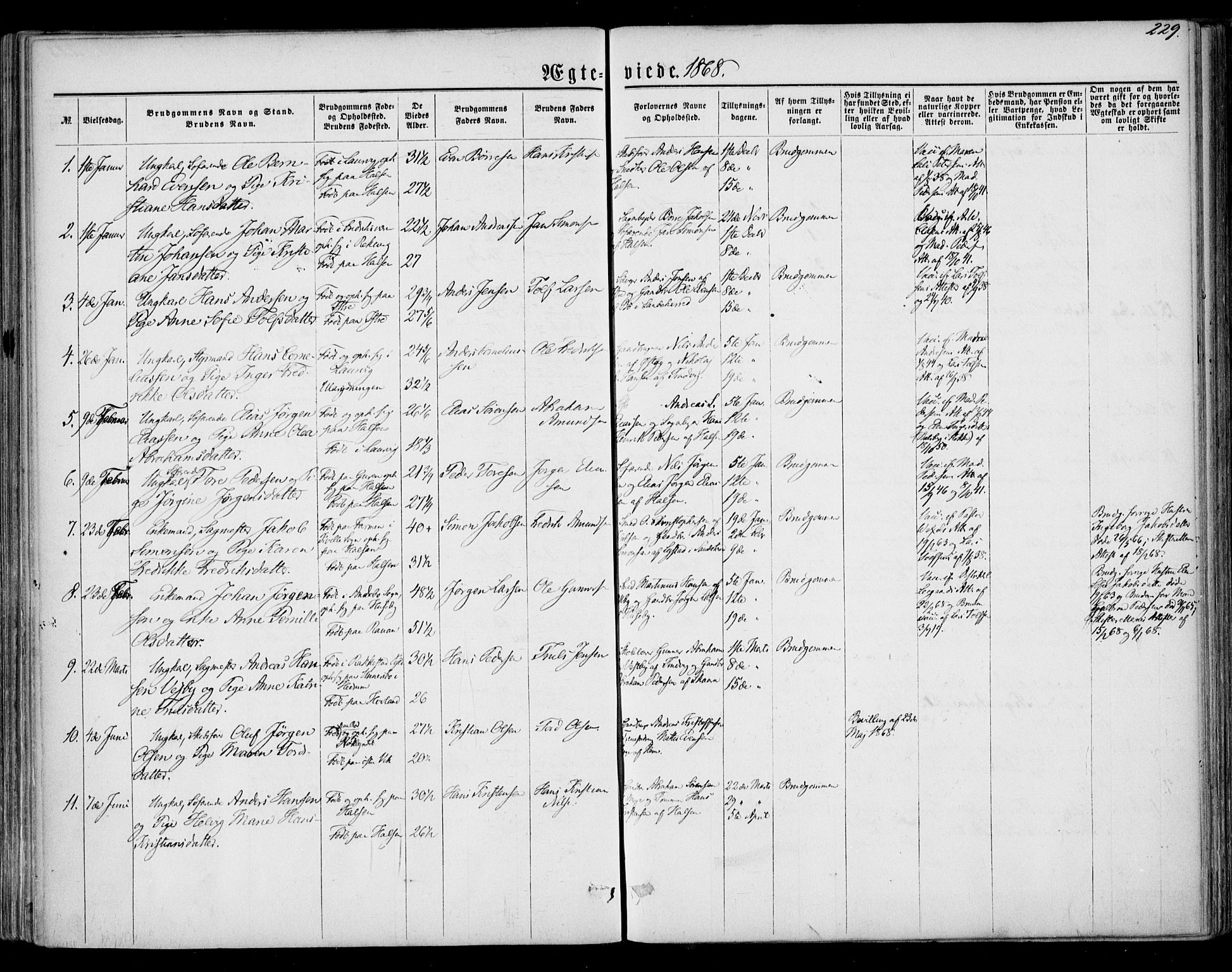 Tjølling kirkebøker, AV/SAKO-A-60/F/Fa/L0007: Parish register (official) no. 7, 1860-1876, p. 229