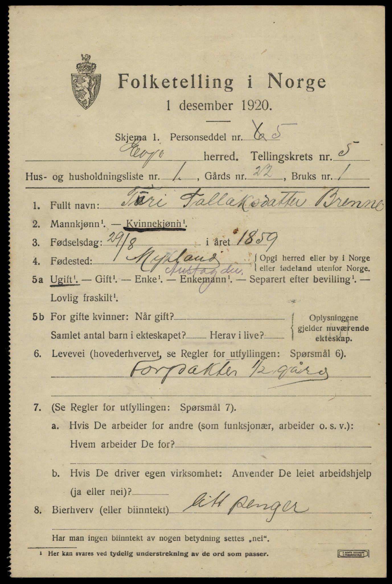 SAK, 1920 census for Evje, 1920, p. 1578