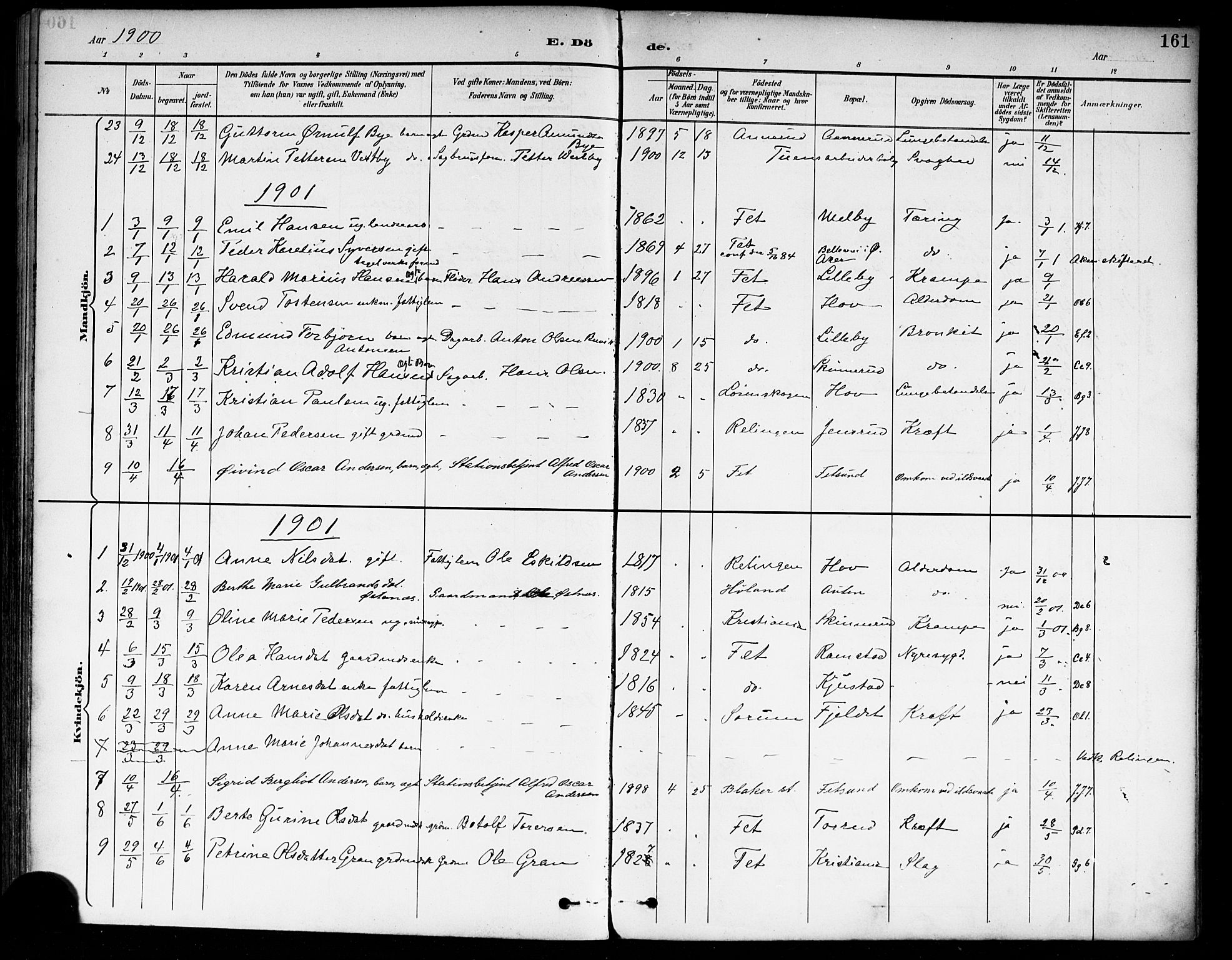 Fet prestekontor Kirkebøker, AV/SAO-A-10370a/F/Fa/L0015: Parish register (official) no. I 15, 1892-1904, p. 161