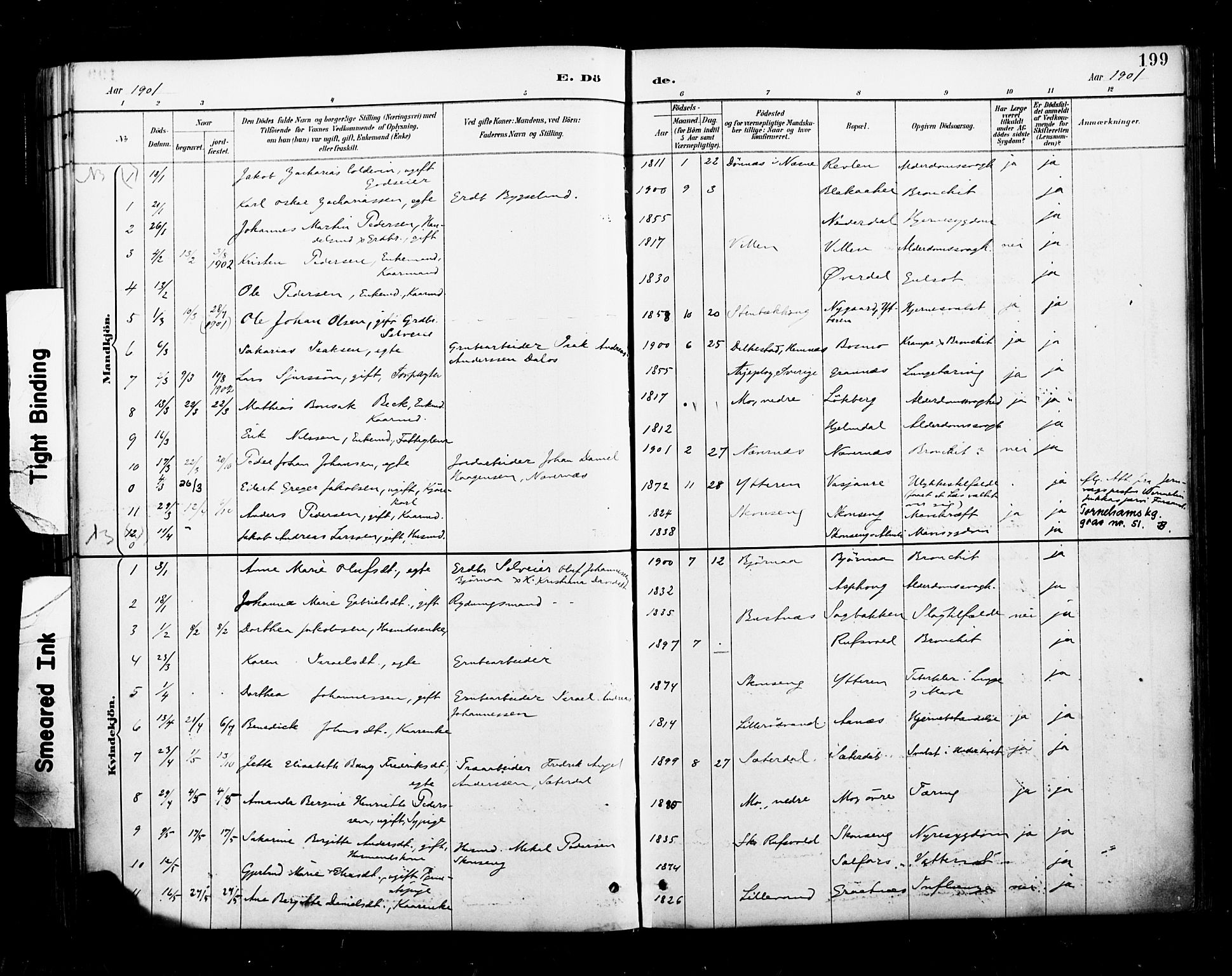 Ministerialprotokoller, klokkerbøker og fødselsregistre - Nordland, AV/SAT-A-1459/827/L0401: Parish register (official) no. 827A13, 1887-1905, p. 199