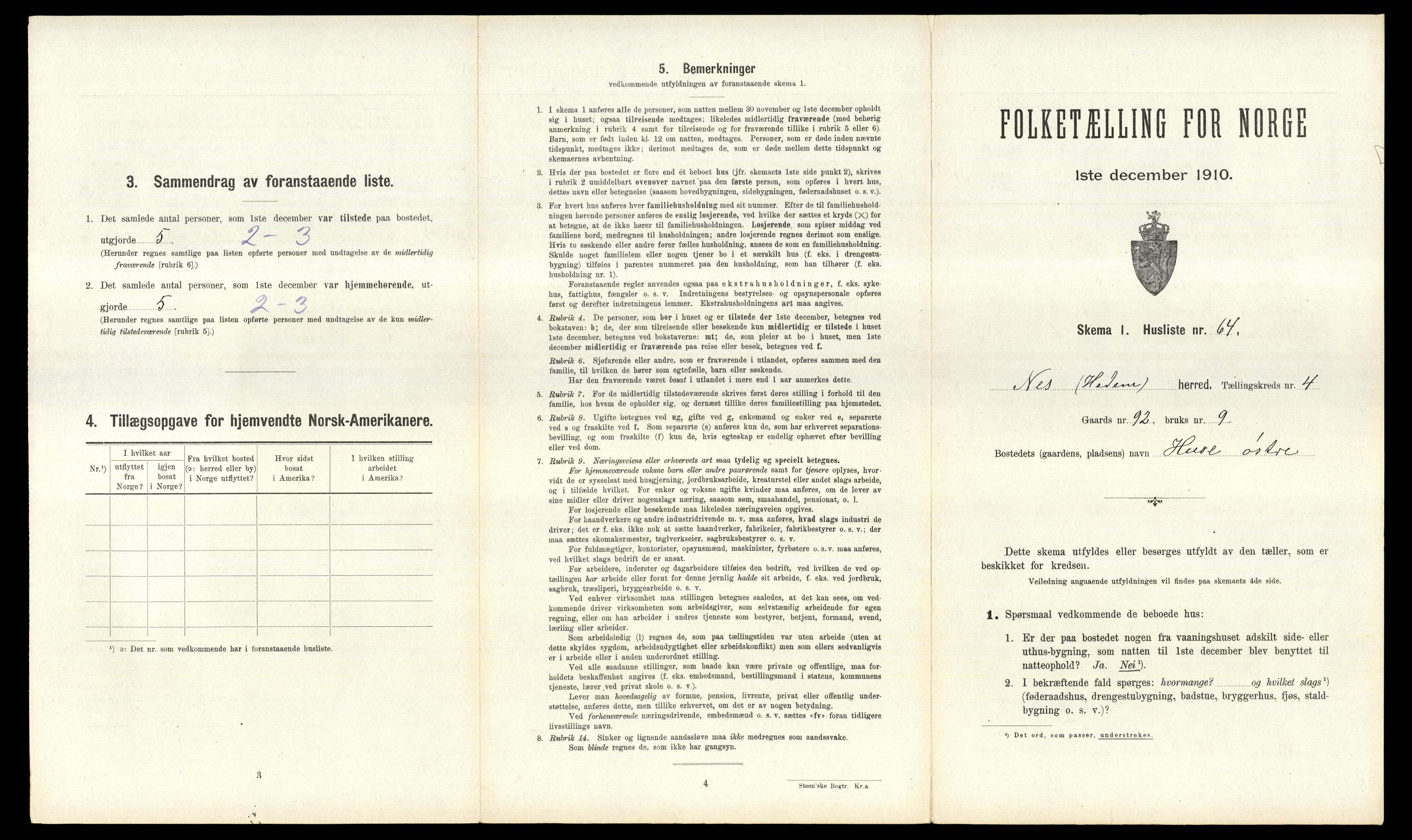 RA, 1910 census for Nes, 1910, p. 821