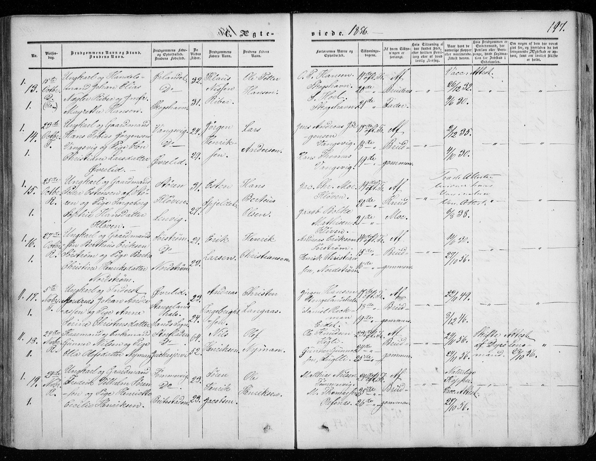 Tranøy sokneprestkontor, SATØ/S-1313/I/Ia/Iaa/L0007kirke: Parish register (official) no. 7, 1856-1866, p. 197