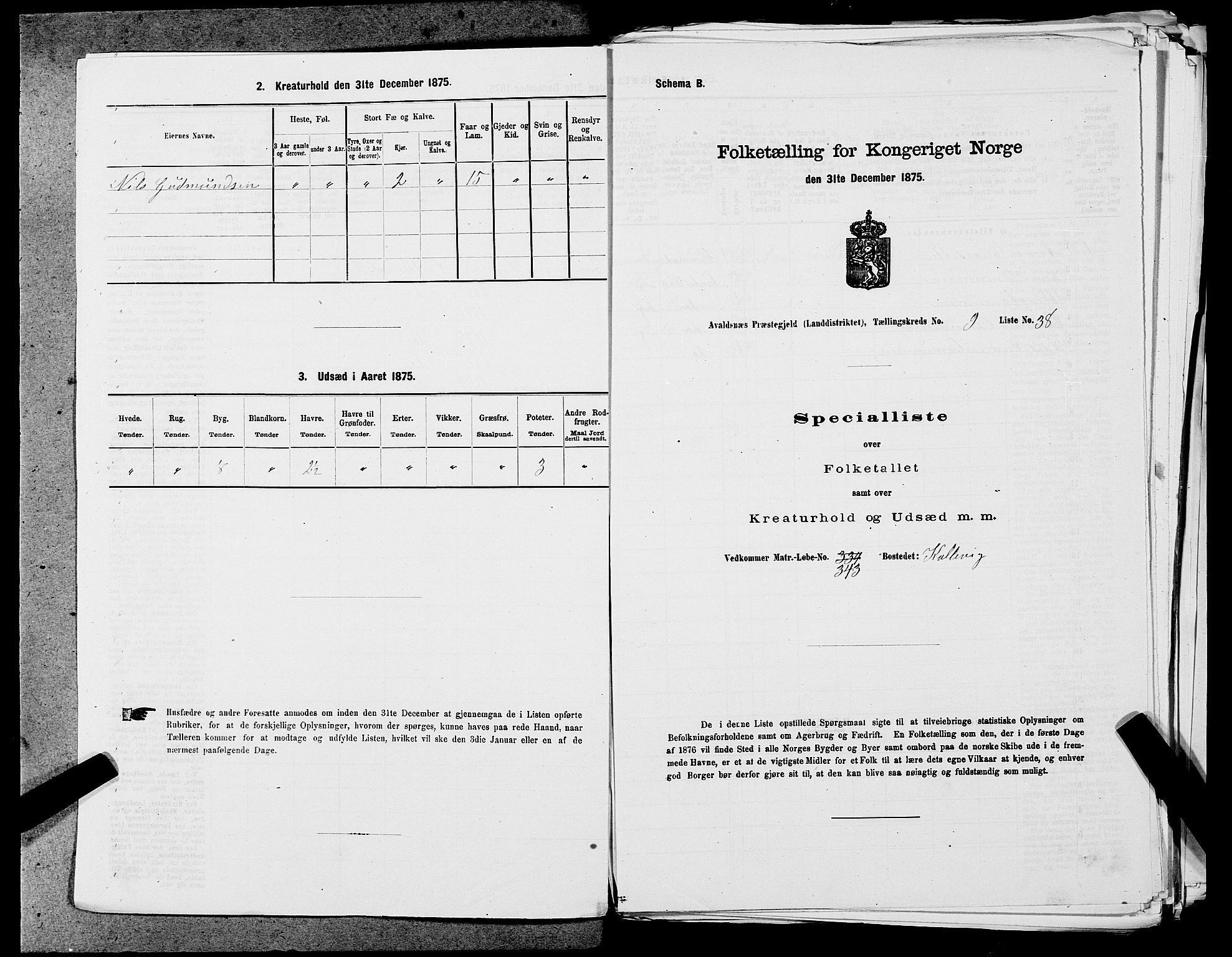 SAST, 1875 census for 1147L Avaldsnes/Avaldsnes og Kopervik, 1875, p. 1493