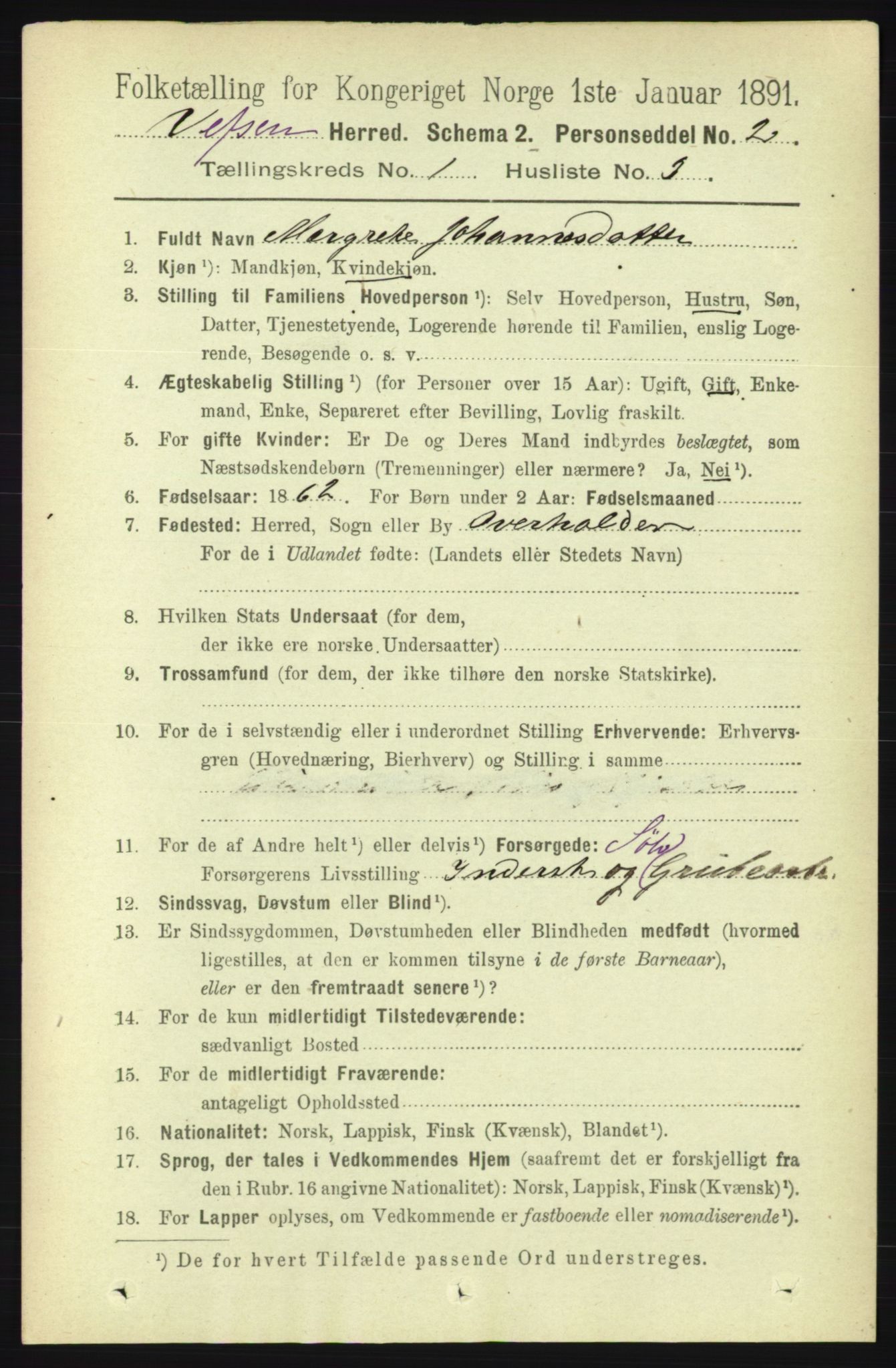 RA, 1891 census for 1824 Vefsn, 1891, p. 107