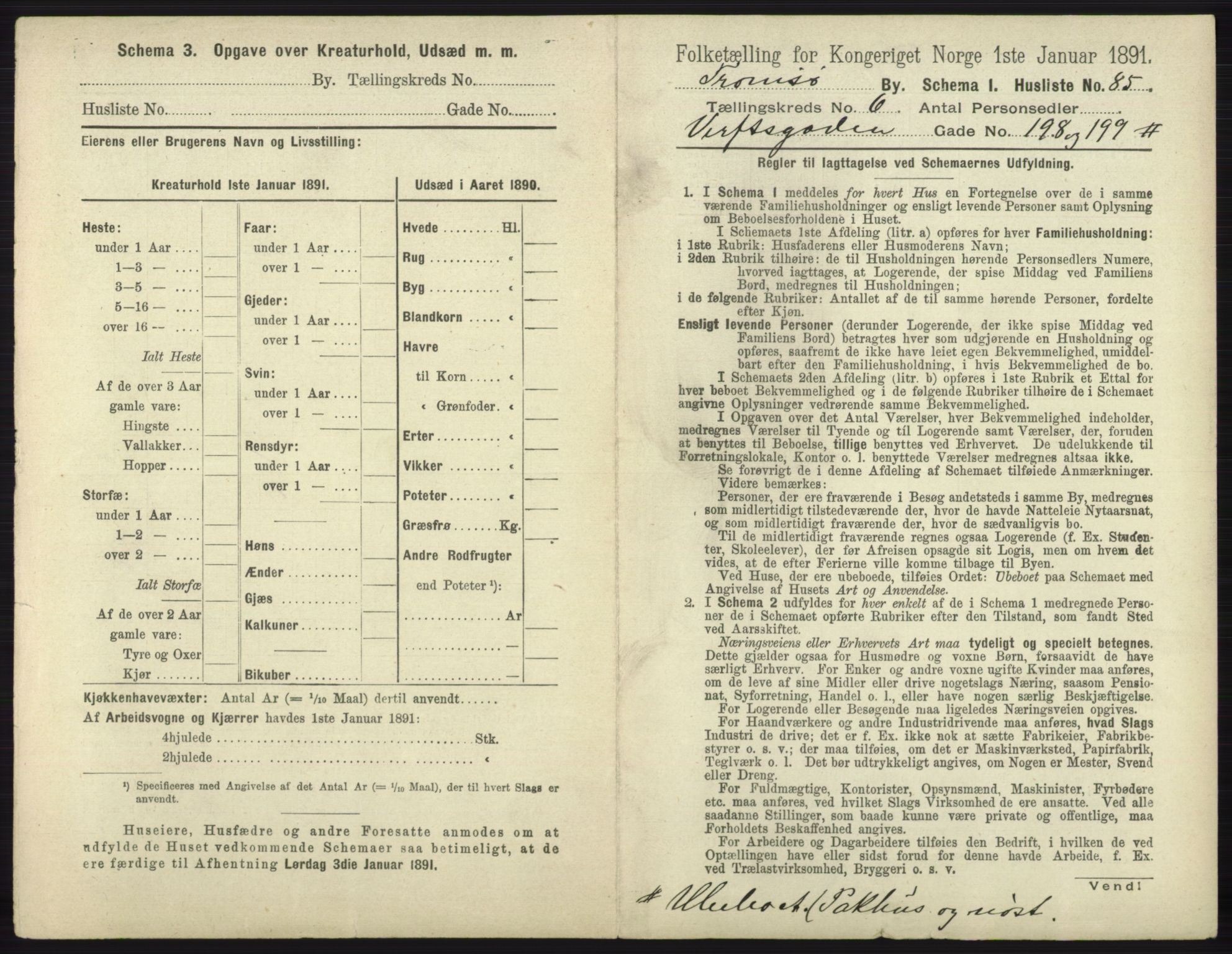 RA, 1891 census for 1902 Tromsø, 1891, p. 5551