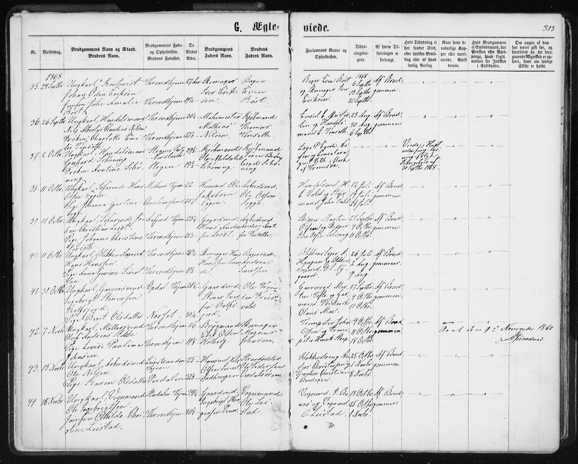 Ministerialprotokoller, klokkerbøker og fødselsregistre - Sør-Trøndelag, SAT/A-1456/601/L0055: Parish register (official) no. 601A23, 1866-1877, p. 313