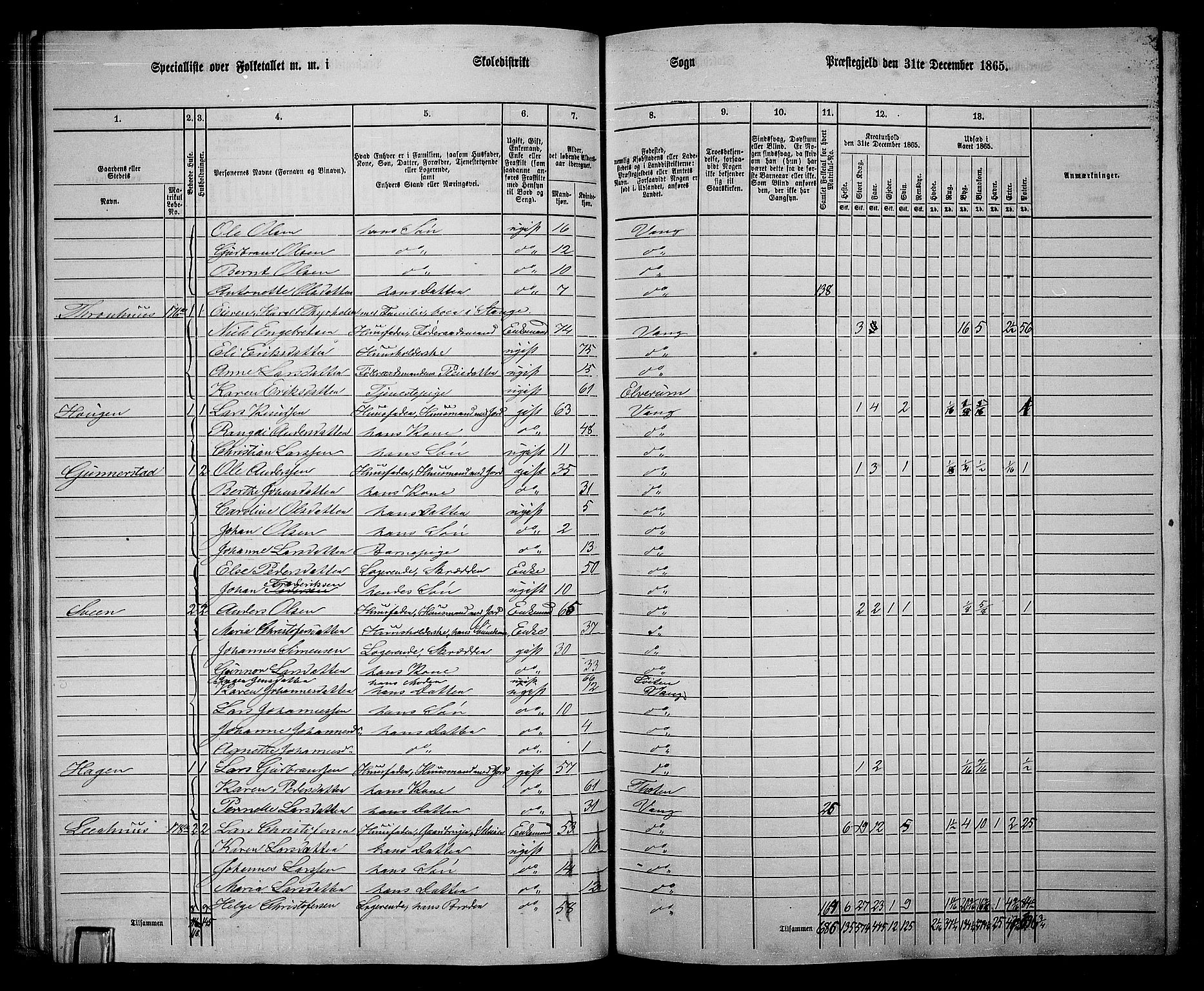 RA, 1865 census for Vang/Vang og Furnes, 1865, p. 199