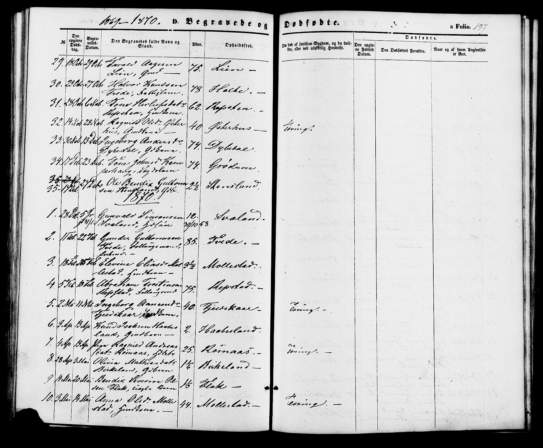 Birkenes sokneprestkontor, AV/SAK-1111-0004/F/Fa/L0004: Parish register (official) no. A 4, 1867-1886, p. 197