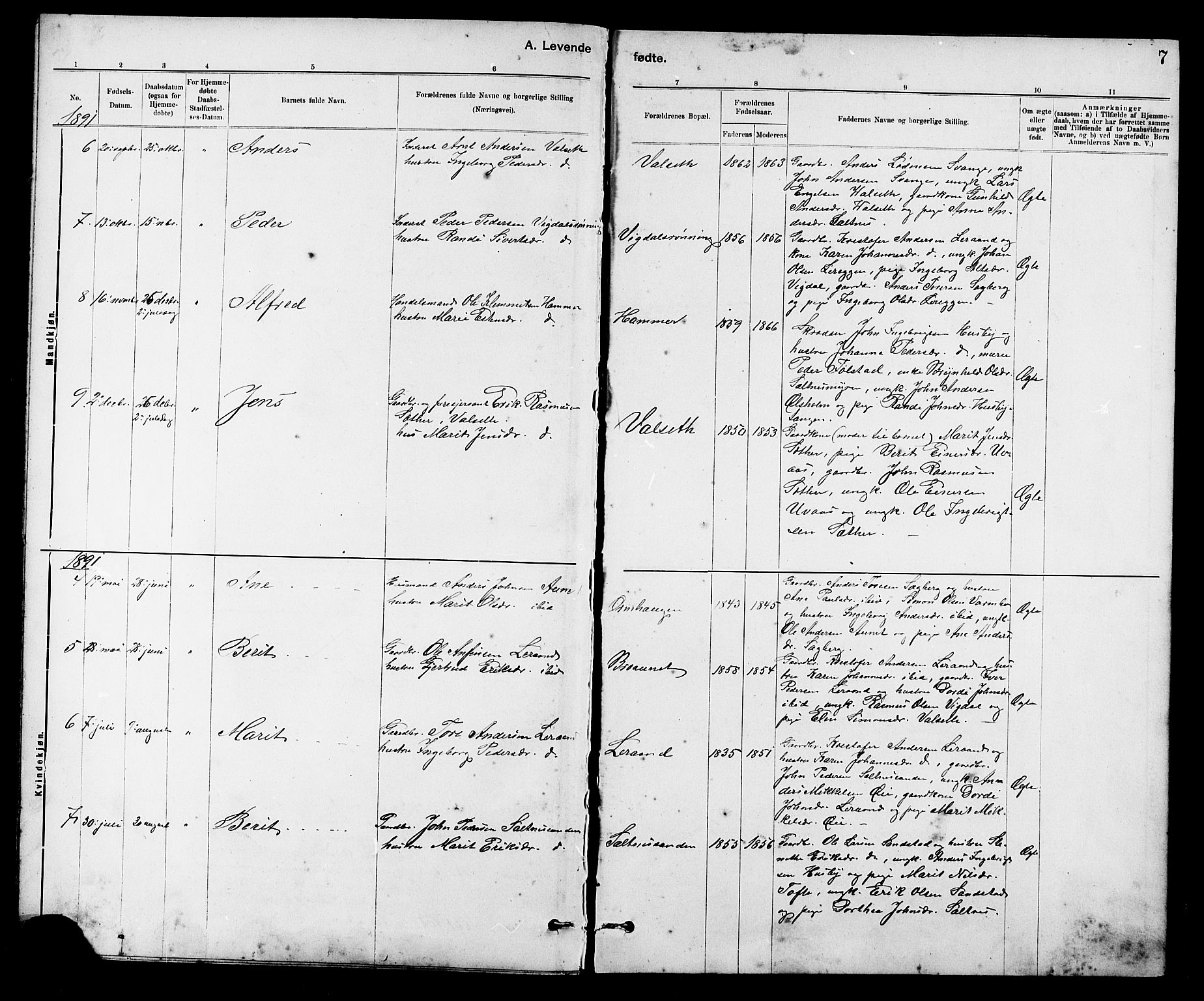 Ministerialprotokoller, klokkerbøker og fødselsregistre - Sør-Trøndelag, SAT/A-1456/666/L0790: Parish register (copy) no. 666C03, 1885-1908, p. 7