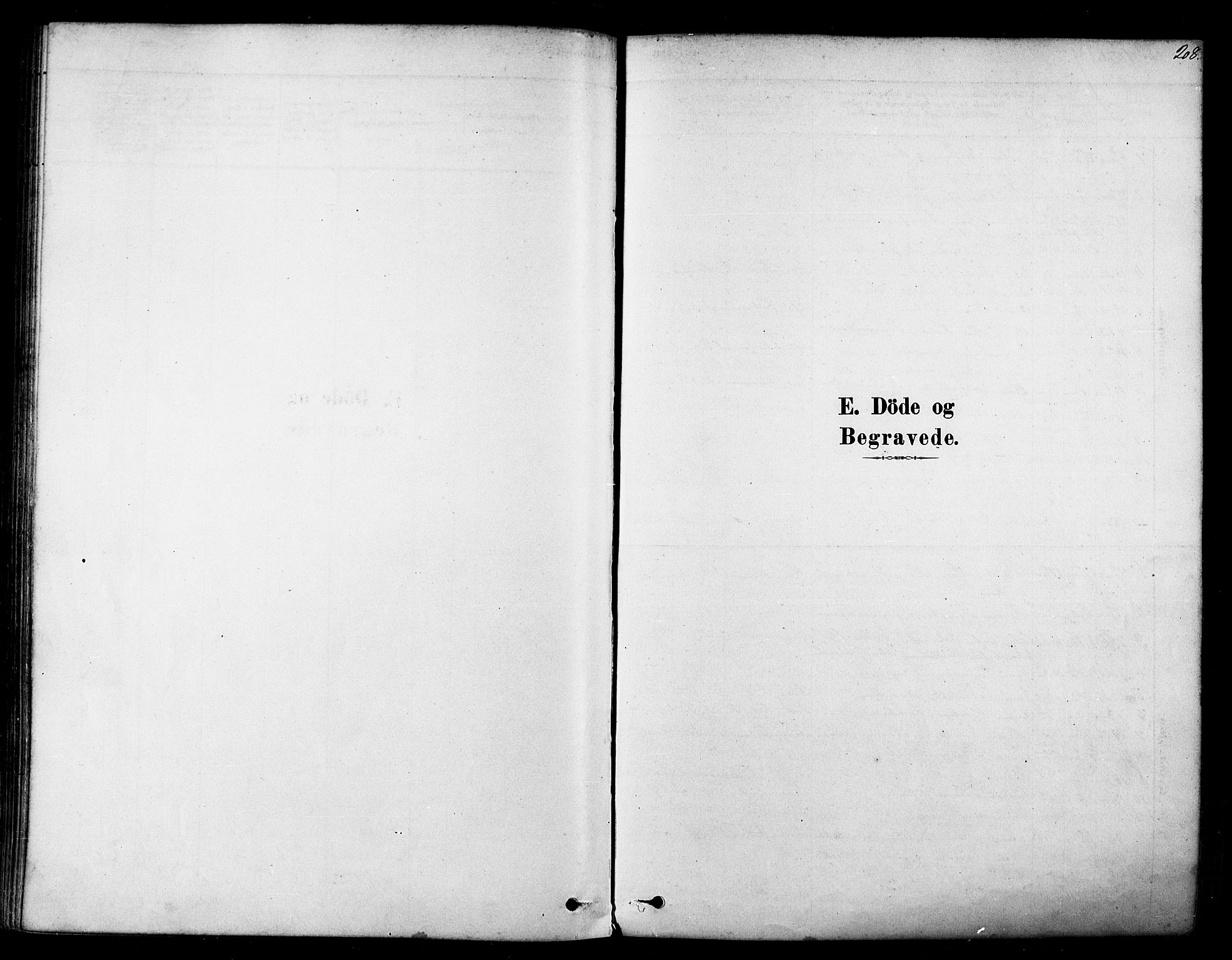 Tana sokneprestkontor, SATØ/S-1334/H/Ha/L0004kirke: Parish register (official) no. 4, 1878-1891, p. 208