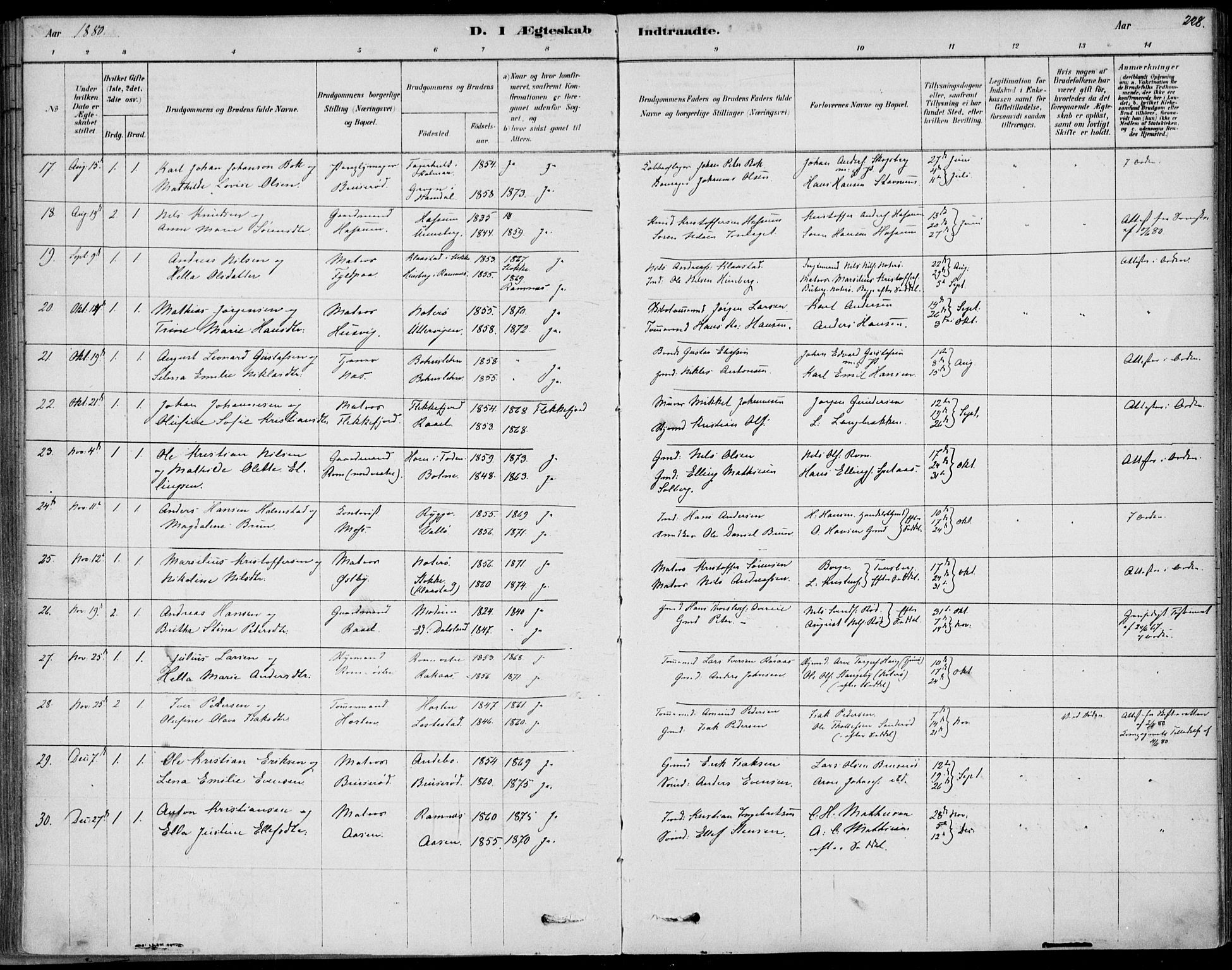 Sem kirkebøker, AV/SAKO-A-5/F/Fb/L0004: Parish register (official) no. II 4, 1878-1891, p. 228