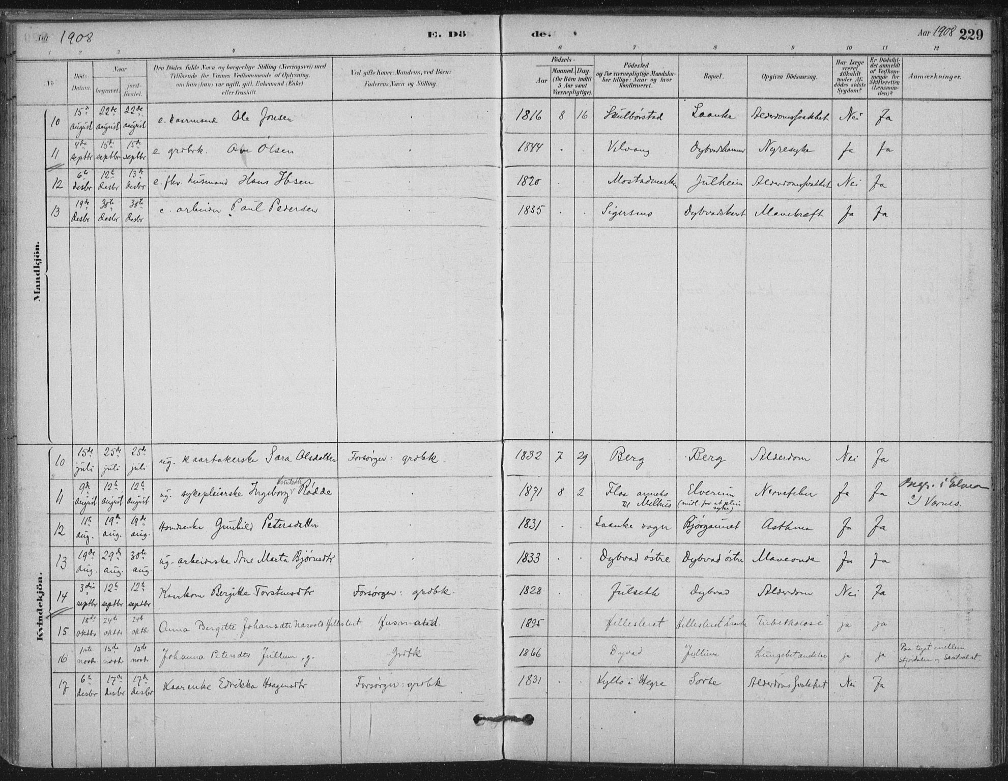 Ministerialprotokoller, klokkerbøker og fødselsregistre - Nord-Trøndelag, SAT/A-1458/710/L0095: Parish register (official) no. 710A01, 1880-1914, p. 229