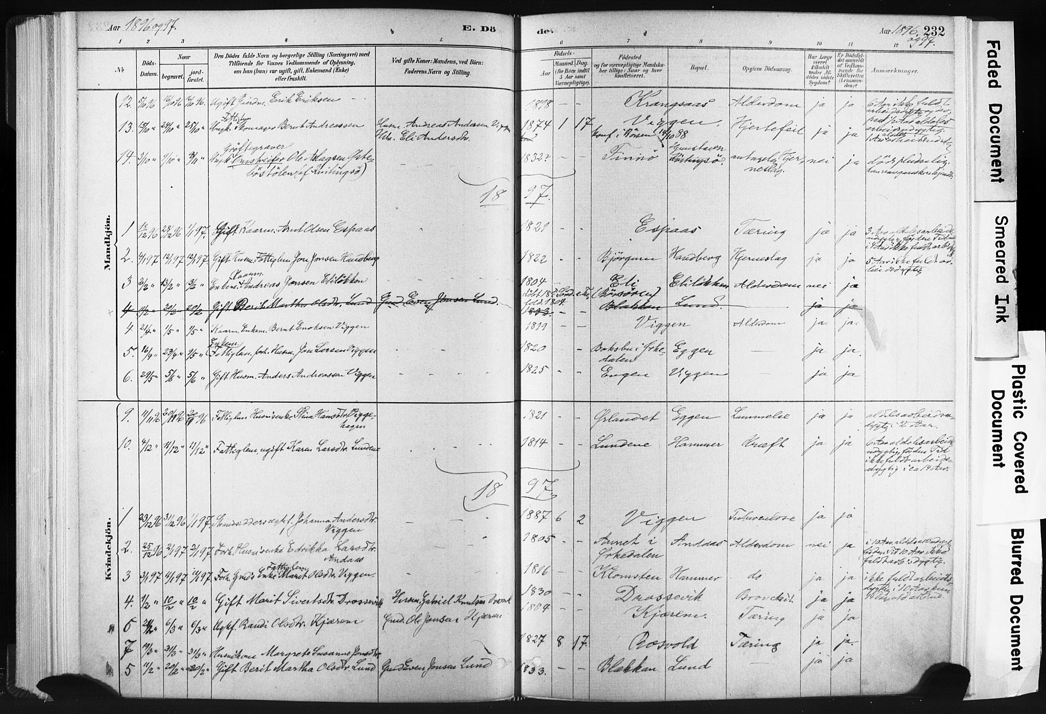 Ministerialprotokoller, klokkerbøker og fødselsregistre - Sør-Trøndelag, AV/SAT-A-1456/665/L0773: Parish register (official) no. 665A08, 1879-1905, p. 232