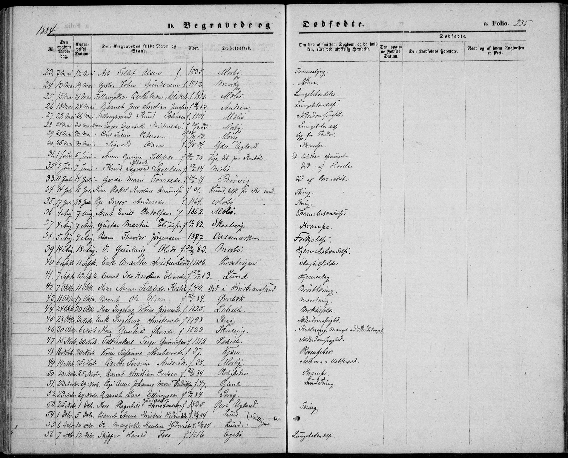 Oddernes sokneprestkontor, SAK/1111-0033/F/Fb/Fba/L0007: Parish register (copy) no. B 7, 1869-1887, p. 235