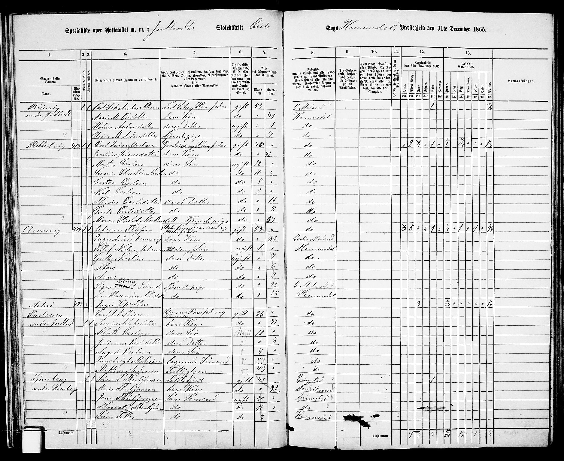 RA, 1865 census for Homedal, 1865, p. 38