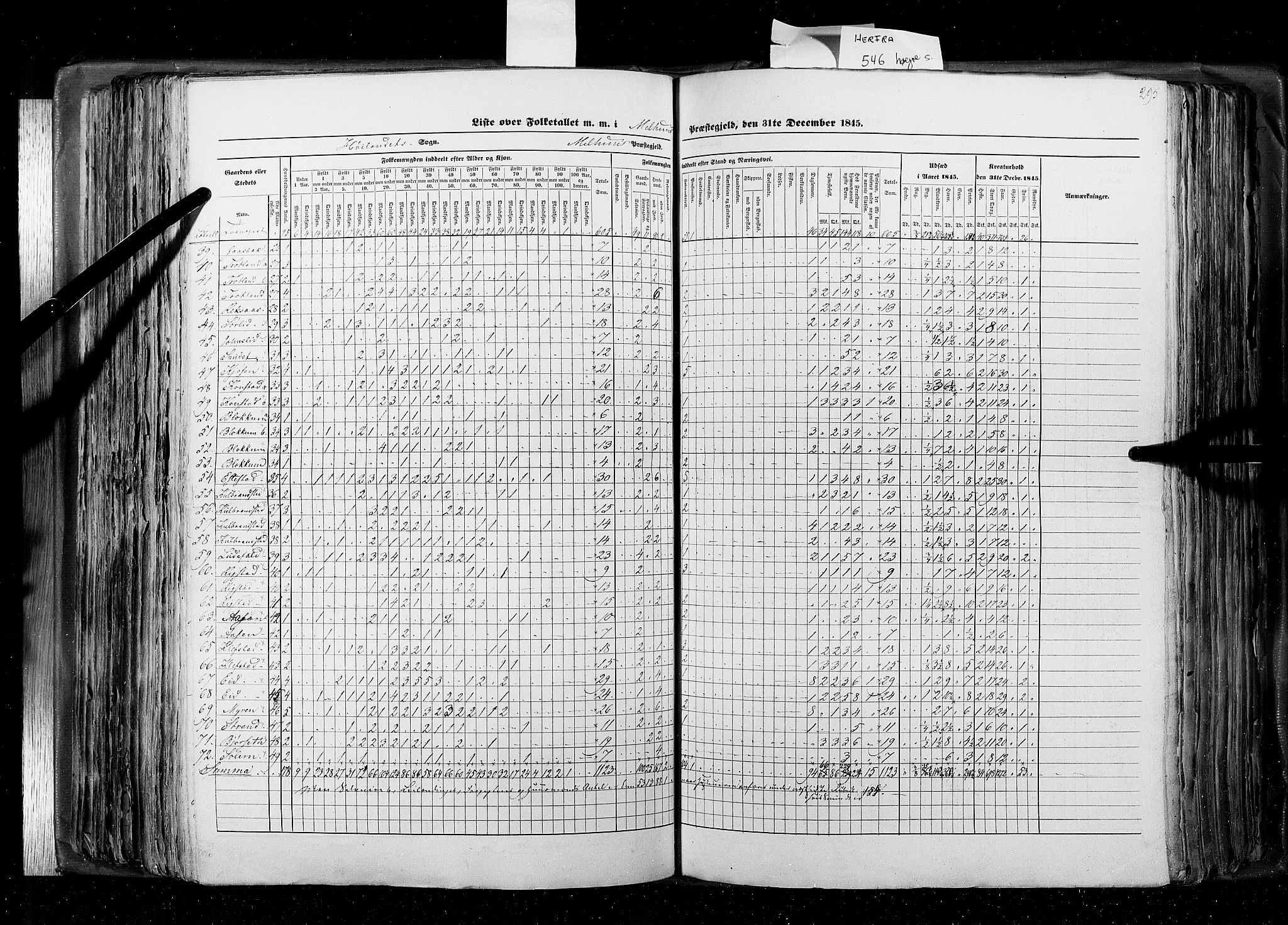 RA, Census 1845, vol. 8: Romsdal amt og Søndre Trondhjems amt, 1845, p. 295