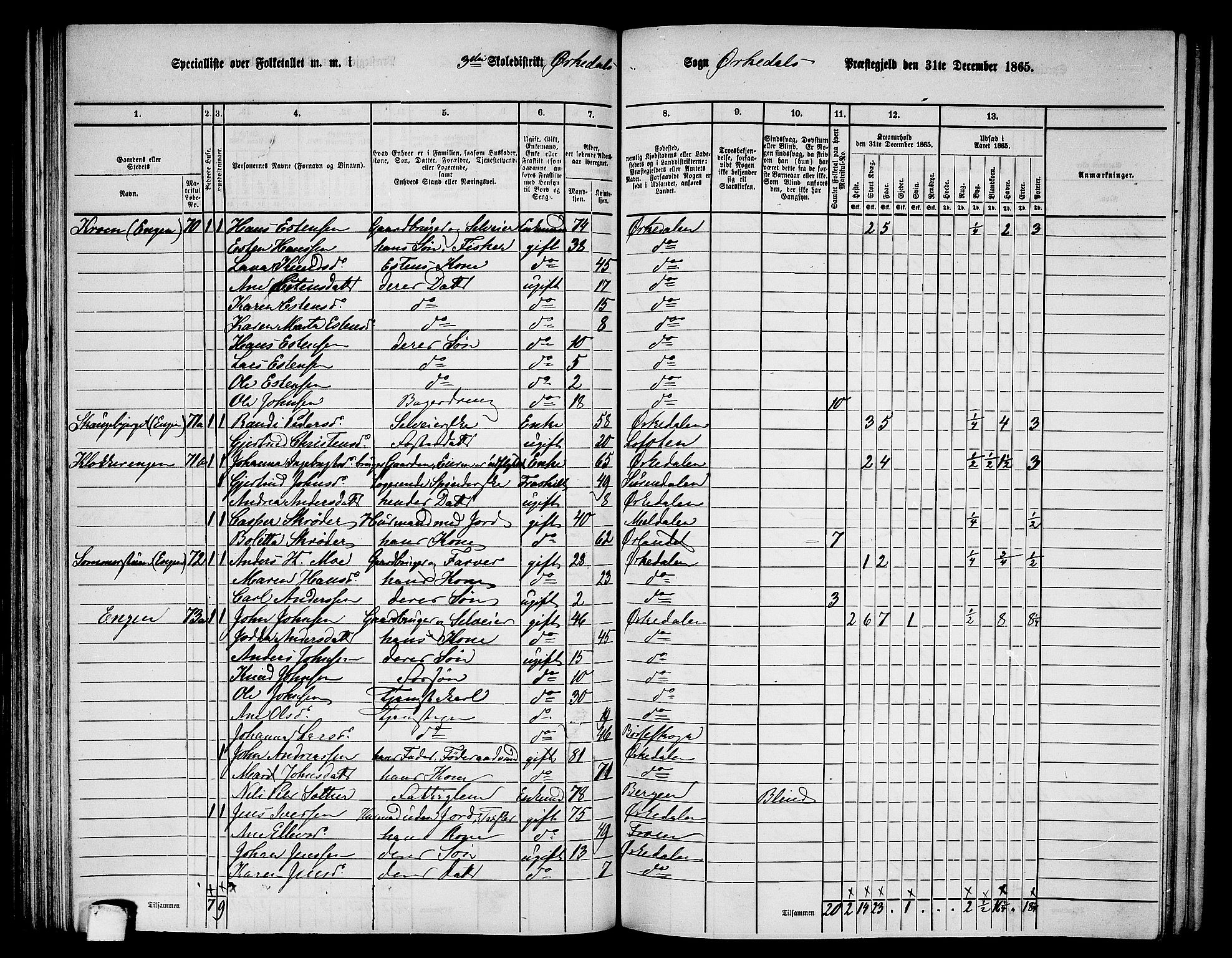 RA, 1865 census for Orkdal, 1865, p. 110