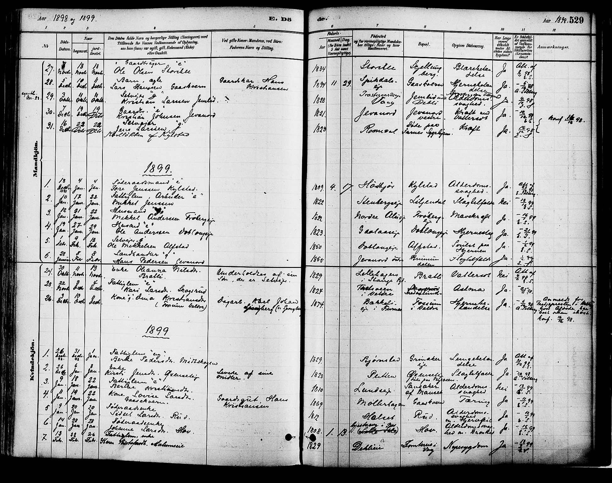 Vang prestekontor, Hedmark, SAH/PREST-008/H/Ha/Haa/L0018B: Parish register (official) no. 18B, 1880-1906, p. 529