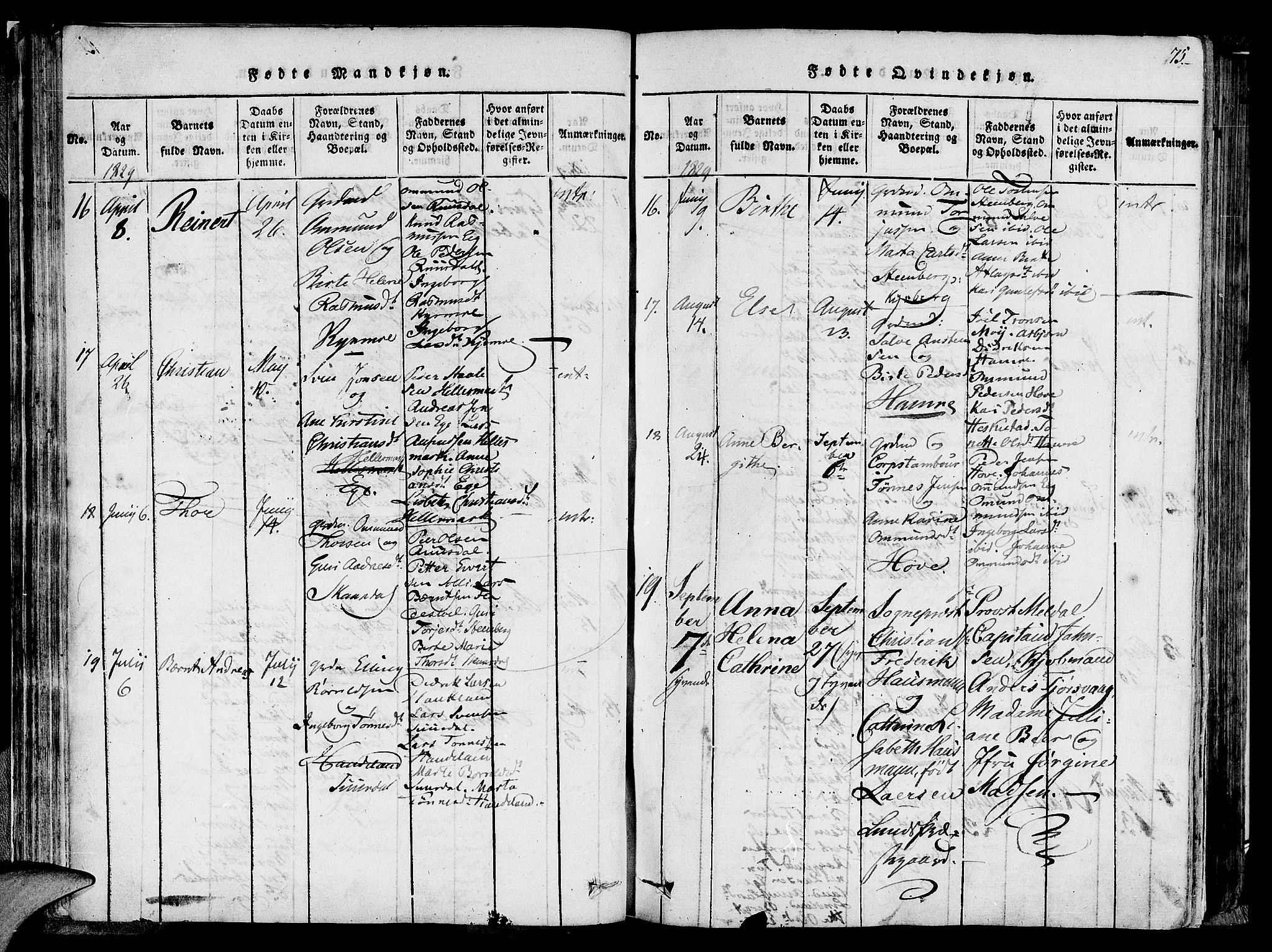 Lund sokneprestkontor, AV/SAST-A-101809/S06/L0005: Parish register (official) no. A 5, 1815-1833, p. 75