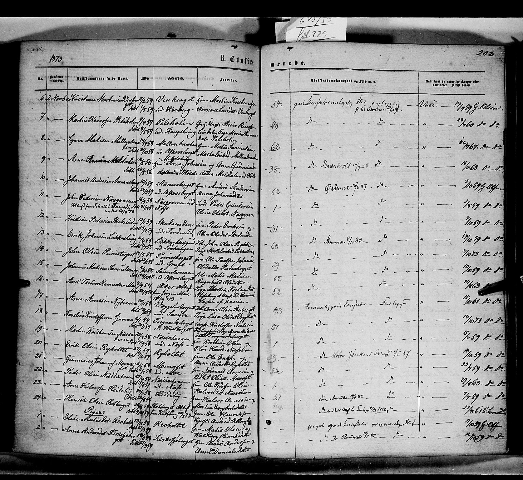 Grue prestekontor, AV/SAH-PREST-036/H/Ha/Haa/L0010: Parish register (official) no. 10, 1864-1873, p. 202