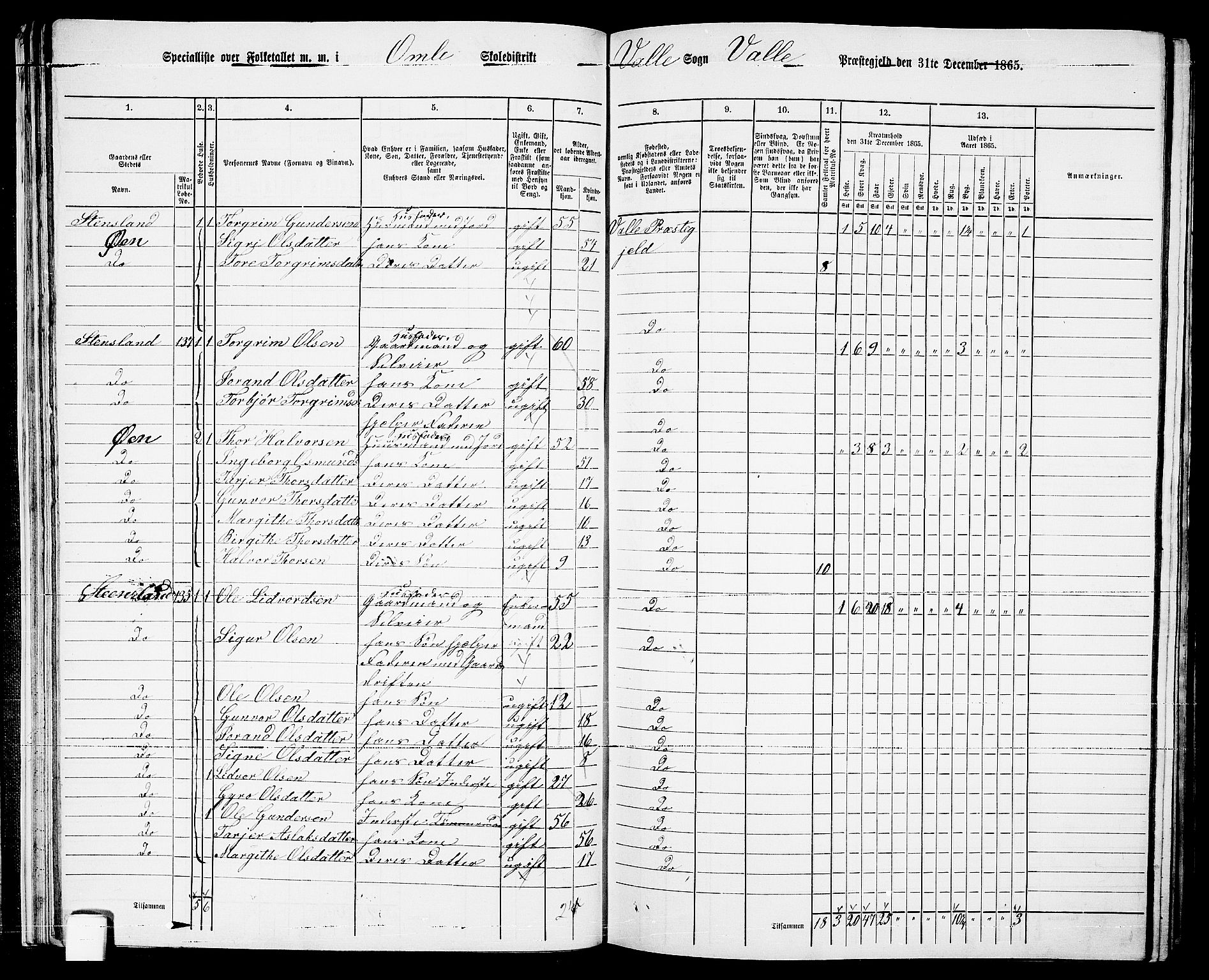 RA, 1865 census for Valle, 1865, p. 30