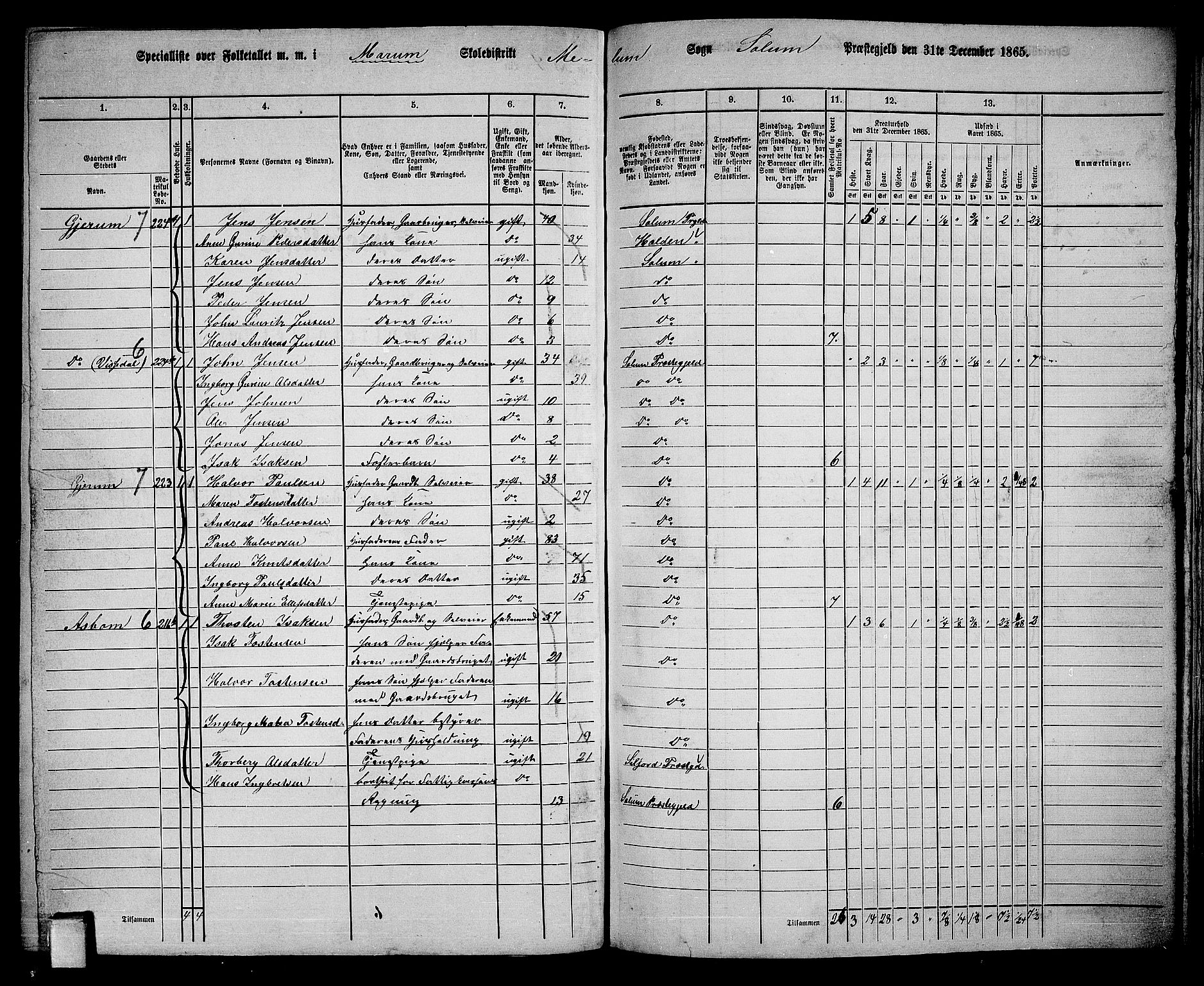 RA, 1865 census for Solum, 1865, p. 172