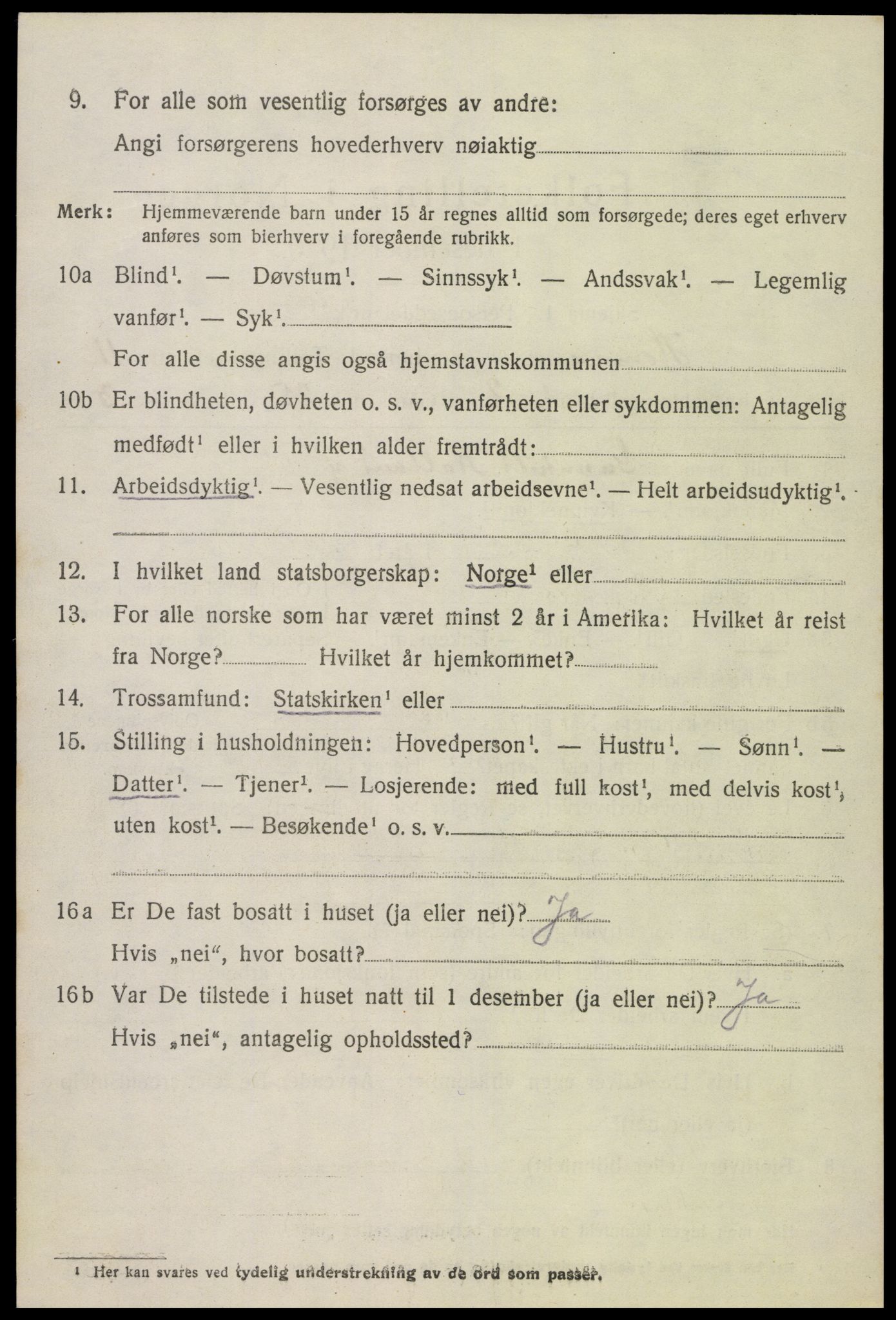 SAK, 1920 census for Hornnes, 1920, p. 2662