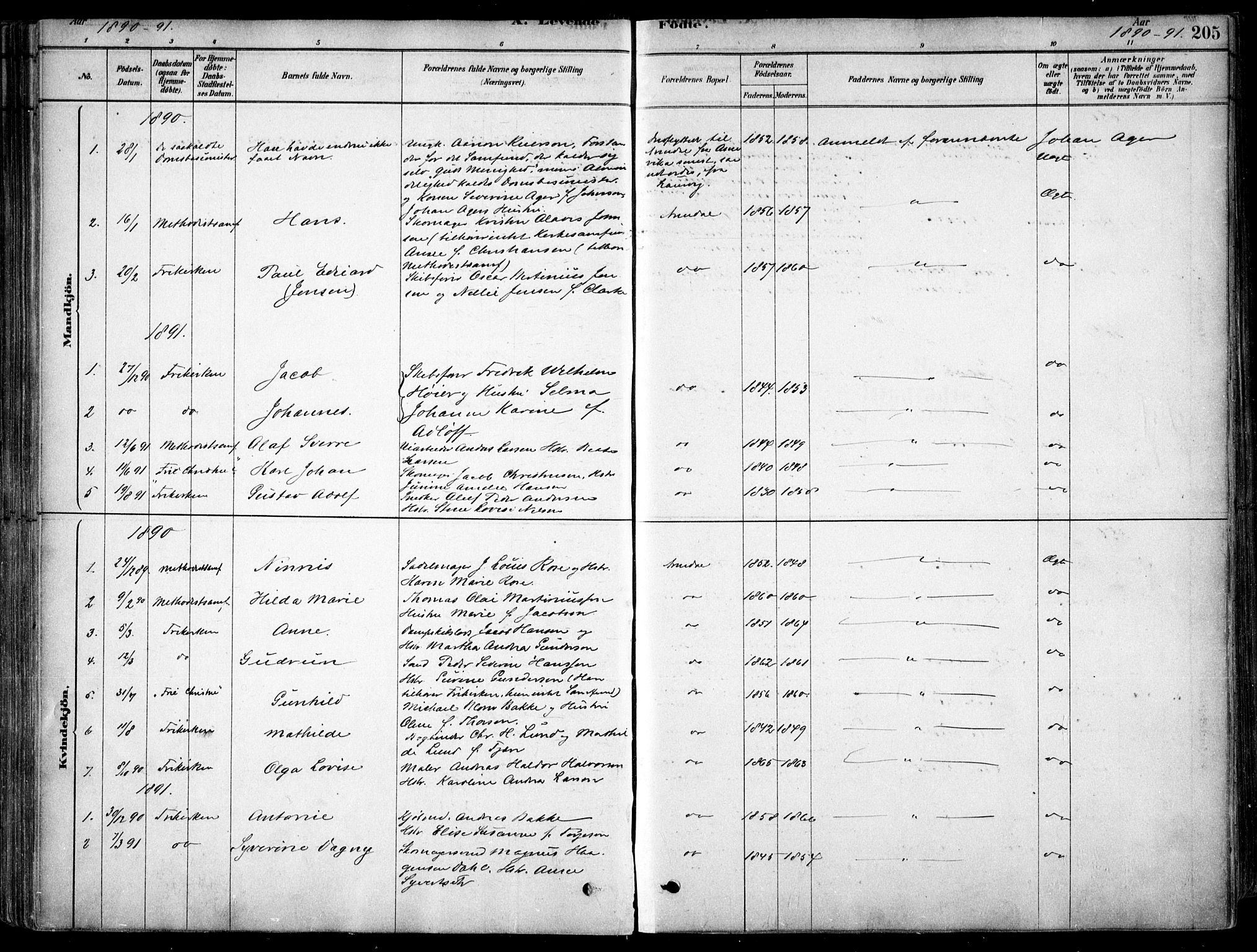 Arendal sokneprestkontor, Trefoldighet, SAK/1111-0040/F/Fa/L0008: Parish register (official) no. A 8, 1878-1899, p. 205