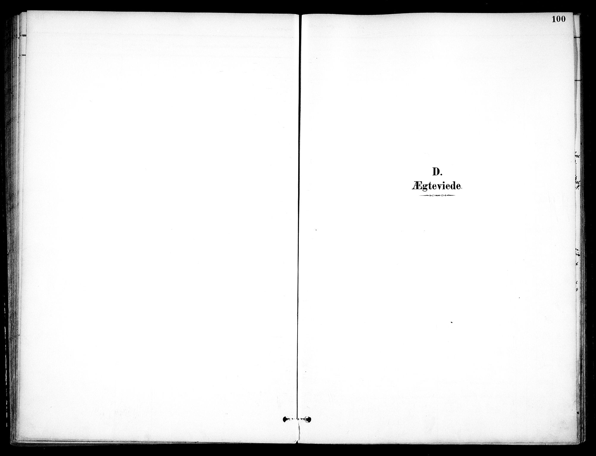 Nannestad prestekontor Kirkebøker, SAO/A-10414a/F/Fc/L0002: Parish register (official) no. III 2, 1893-1907, p. 100