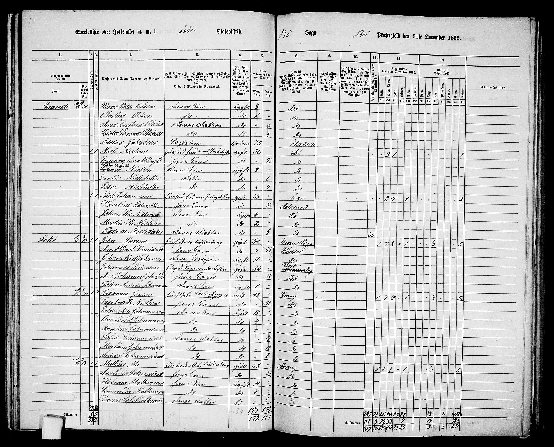 RA, 1865 census for Bø, 1865, p. 41