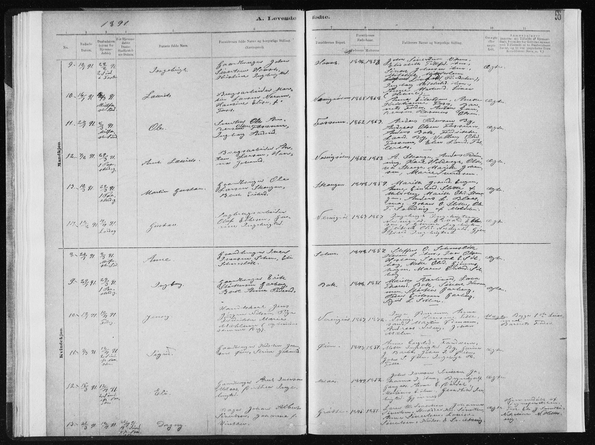 Ministerialprotokoller, klokkerbøker og fødselsregistre - Sør-Trøndelag, SAT/A-1456/668/L0818: Parish register (copy) no. 668C07, 1885-1898, p. 55