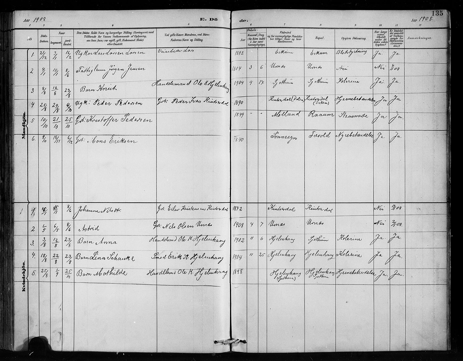 Hafslo sokneprestembete, AV/SAB-A-80301/H/Hab/Habc/L0001: Parish register (copy) no. C 1, 1882-1908, p. 135