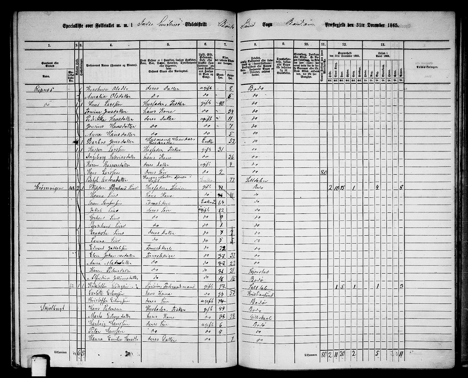 RA, 1865 census for Bodø/Bodø, 1865, p. 113