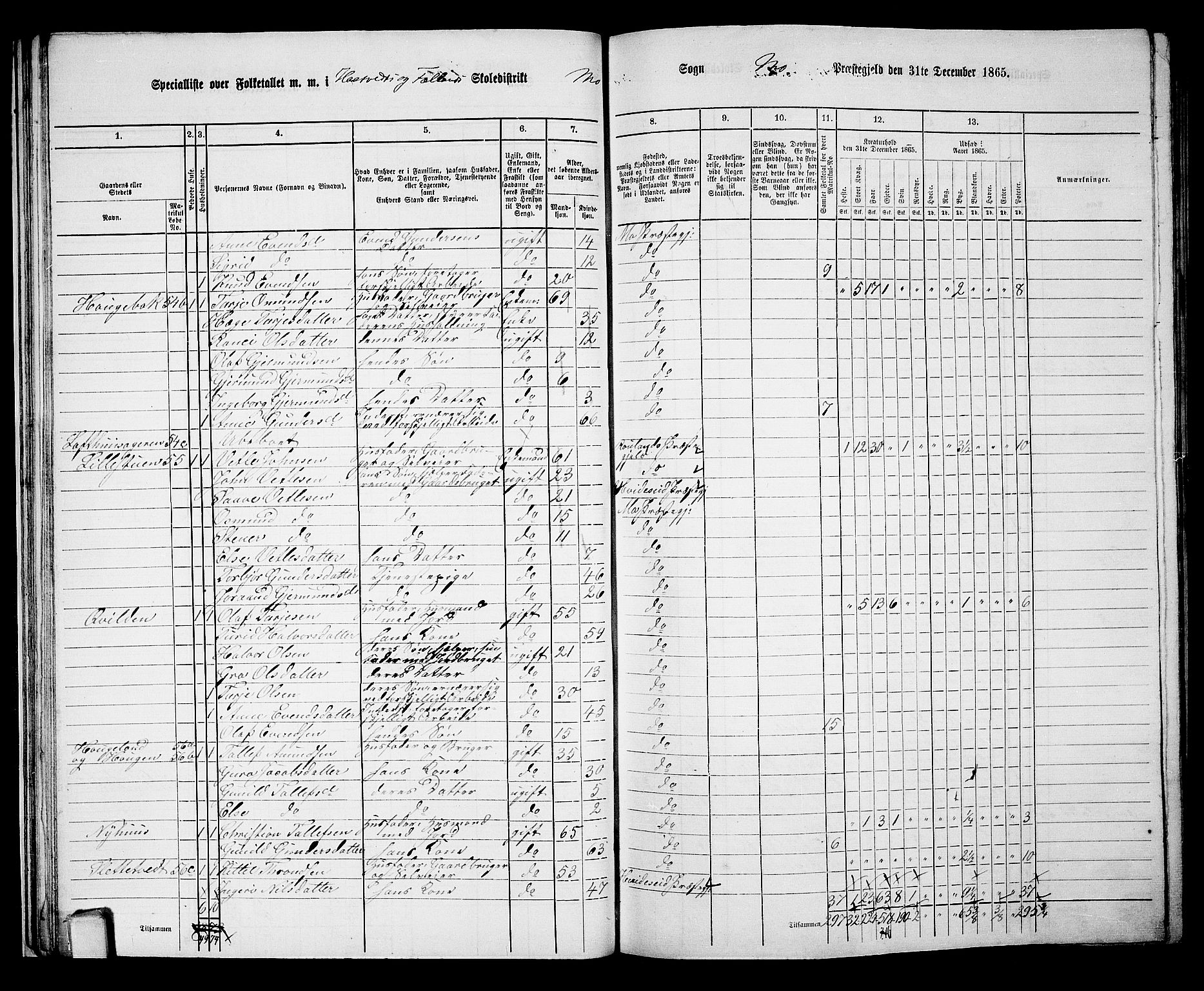 RA, 1865 census for Mo, 1865, p. 31