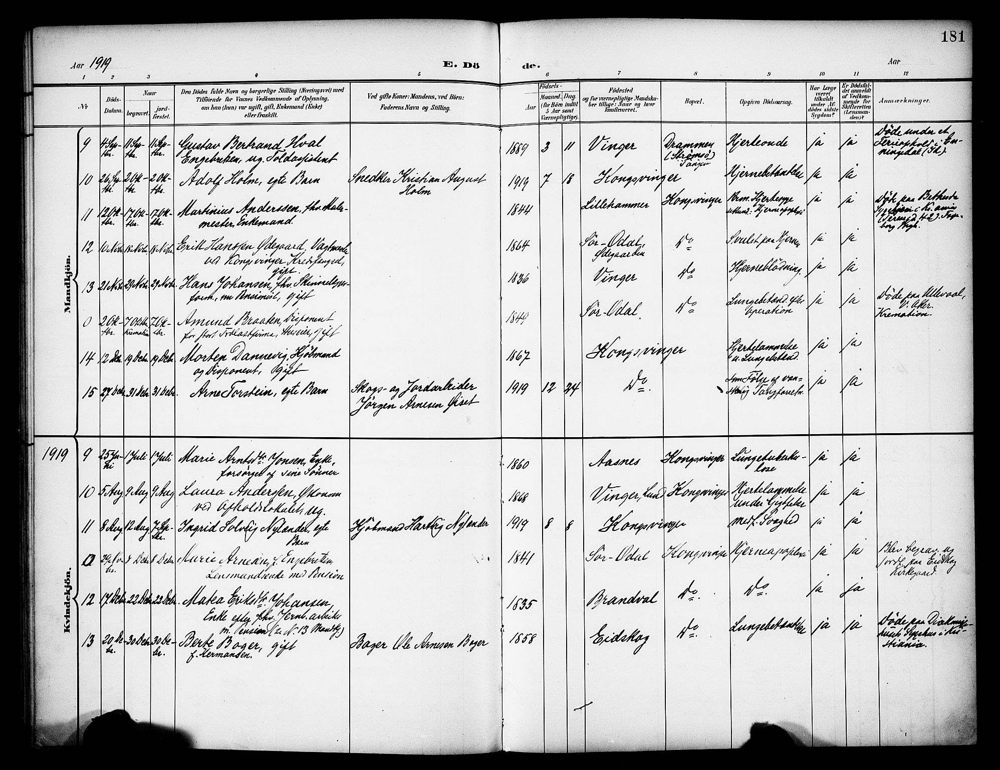 Vinger prestekontor, AV/SAH-PREST-024/H/Ha/Haa/L0016: Parish register (official) no. 16, 1898-1920, p. 181