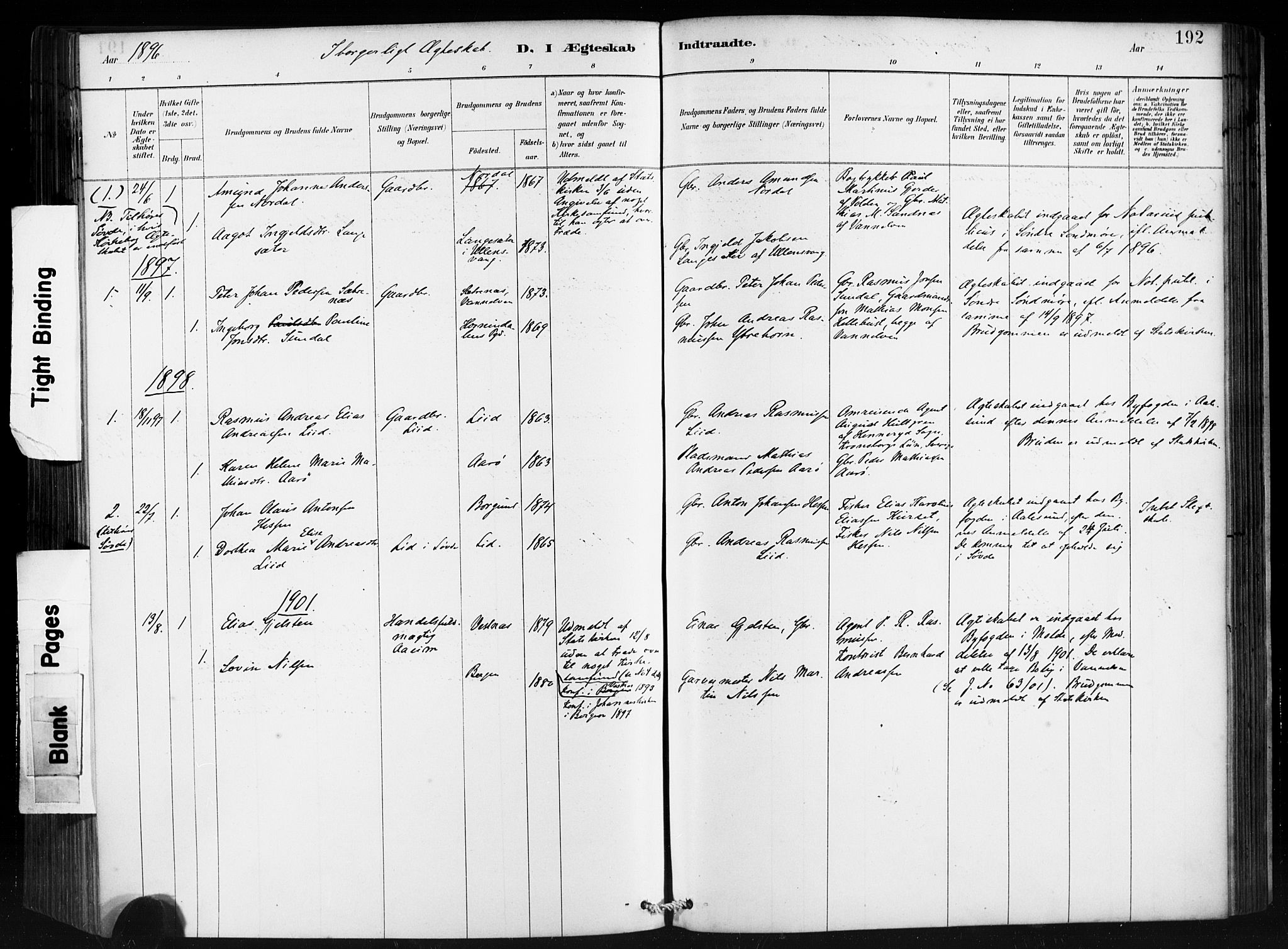 Ministerialprotokoller, klokkerbøker og fødselsregistre - Møre og Romsdal, AV/SAT-A-1454/501/L0008: Parish register (official) no. 501A08, 1885-1901, p. 192
