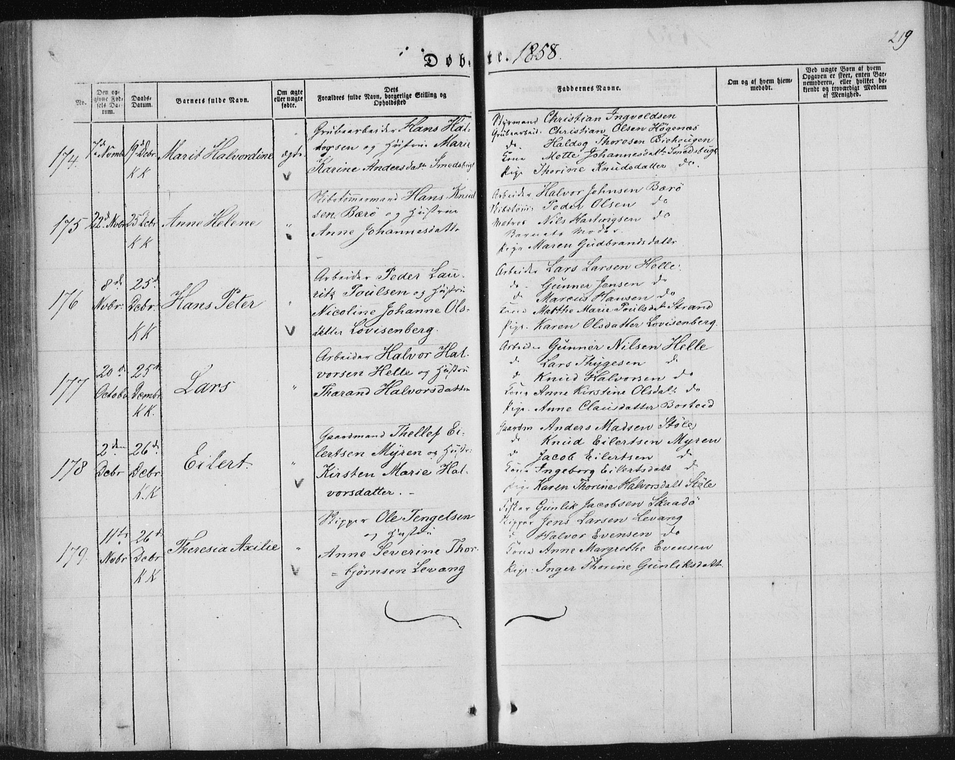 Sannidal kirkebøker, AV/SAKO-A-296/F/Fa/L0008: Parish register (official) no. 8, 1847-1862, p. 219