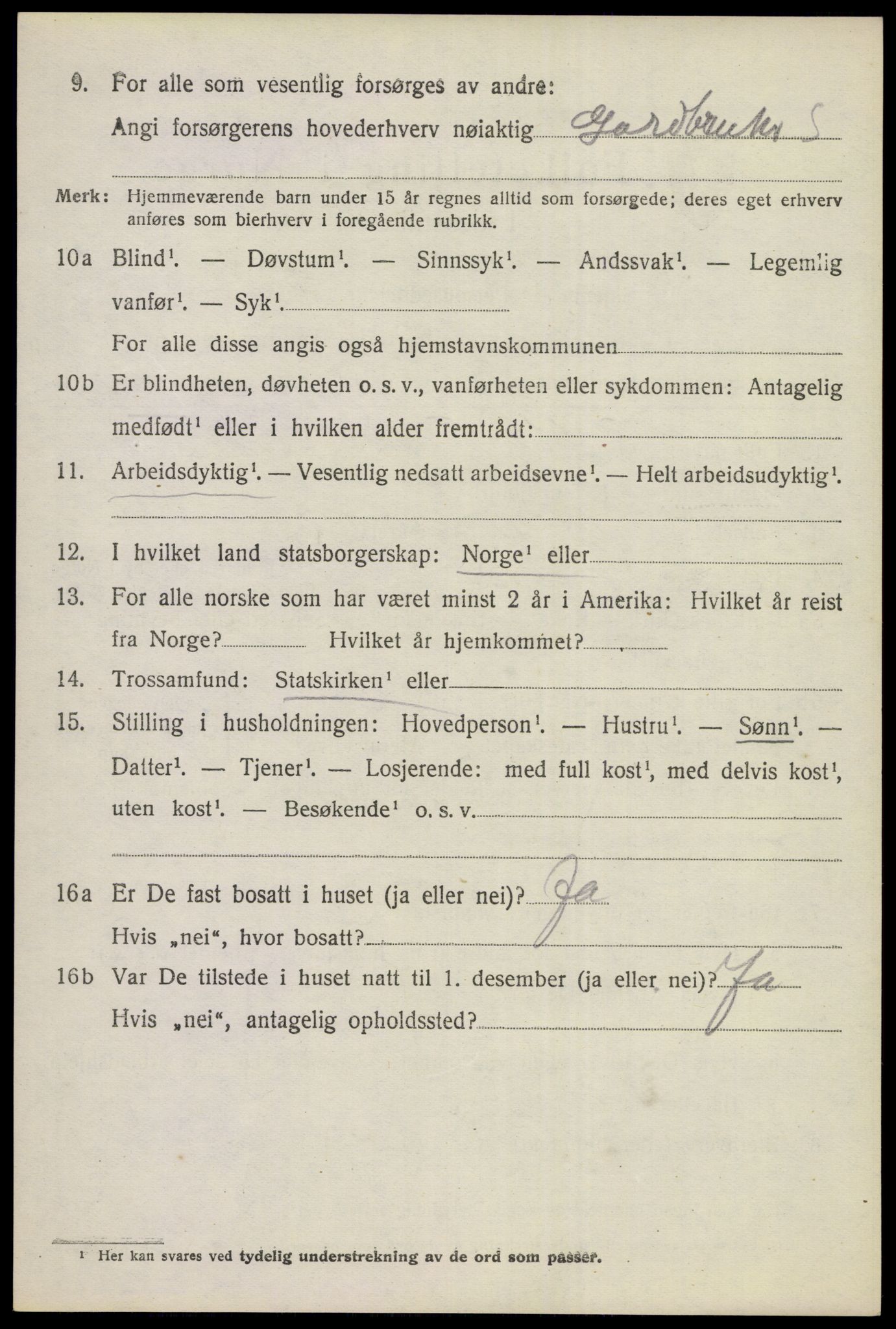 SAKO, 1920 census for Hol (Buskerud), 1920, p. 1848