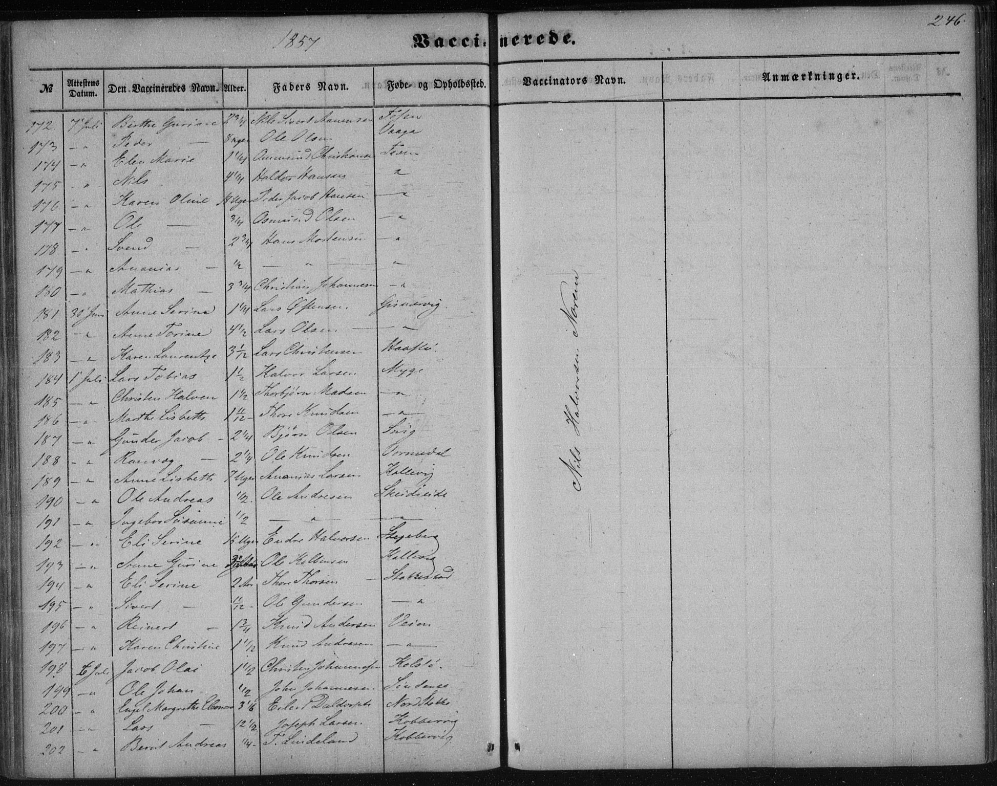 Avaldsnes sokneprestkontor, SAST/A -101851/H/Ha/Haa/L0009: Parish register (official) no. A 9, 1853-1865, p. 246