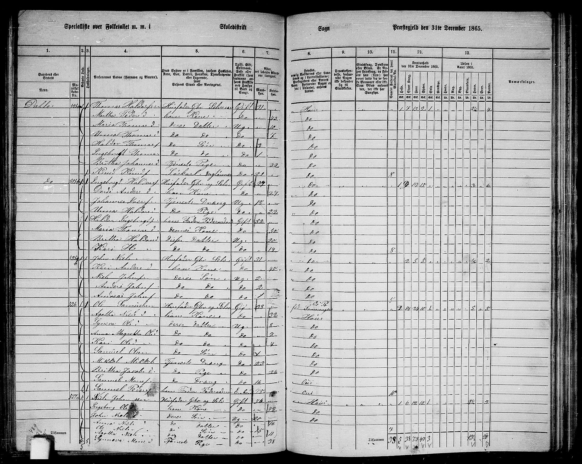 RA, 1865 census for Haus, 1865, p. 207