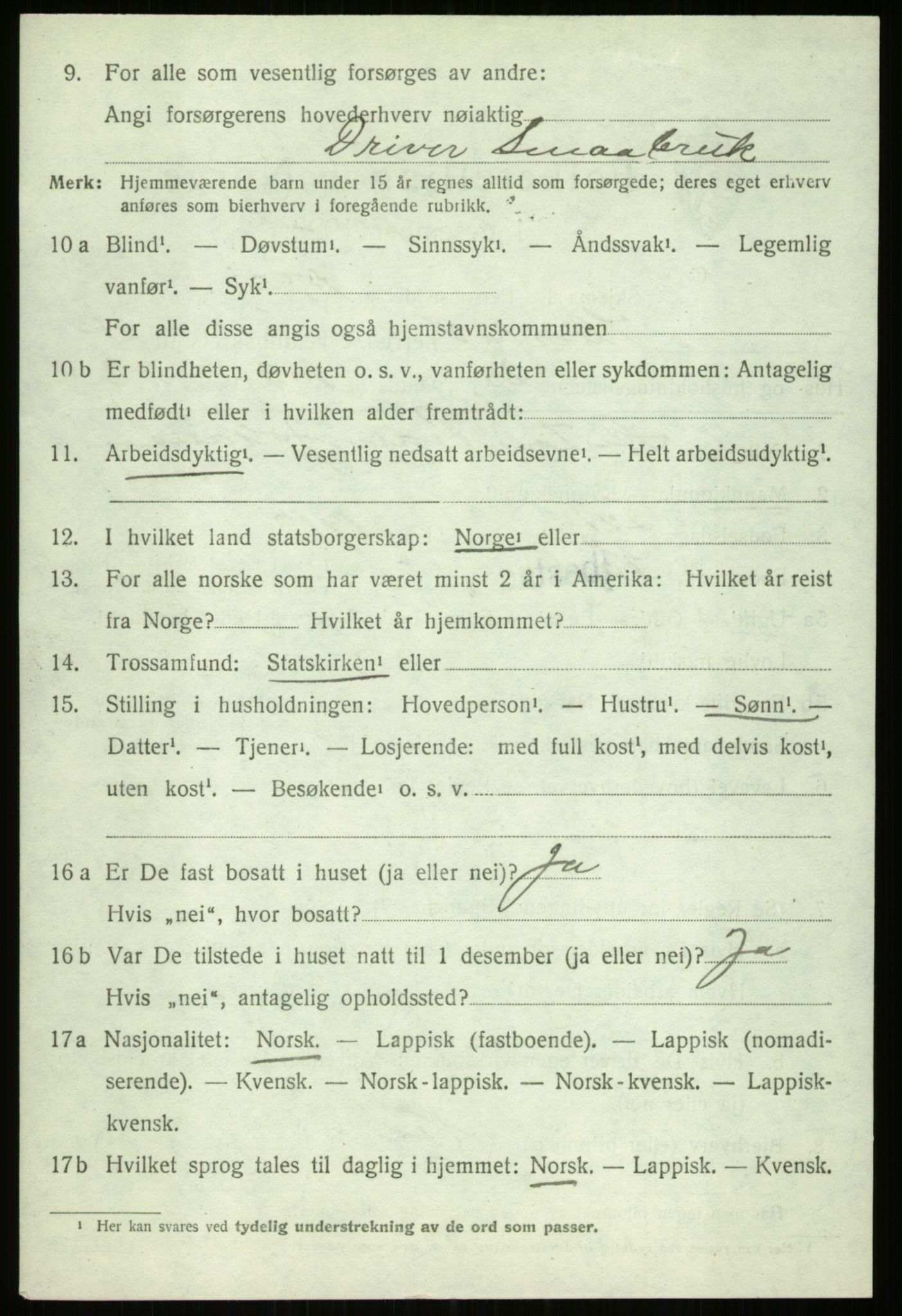 SATØ, 1920 census for Ibestad, 1920, p. 13226