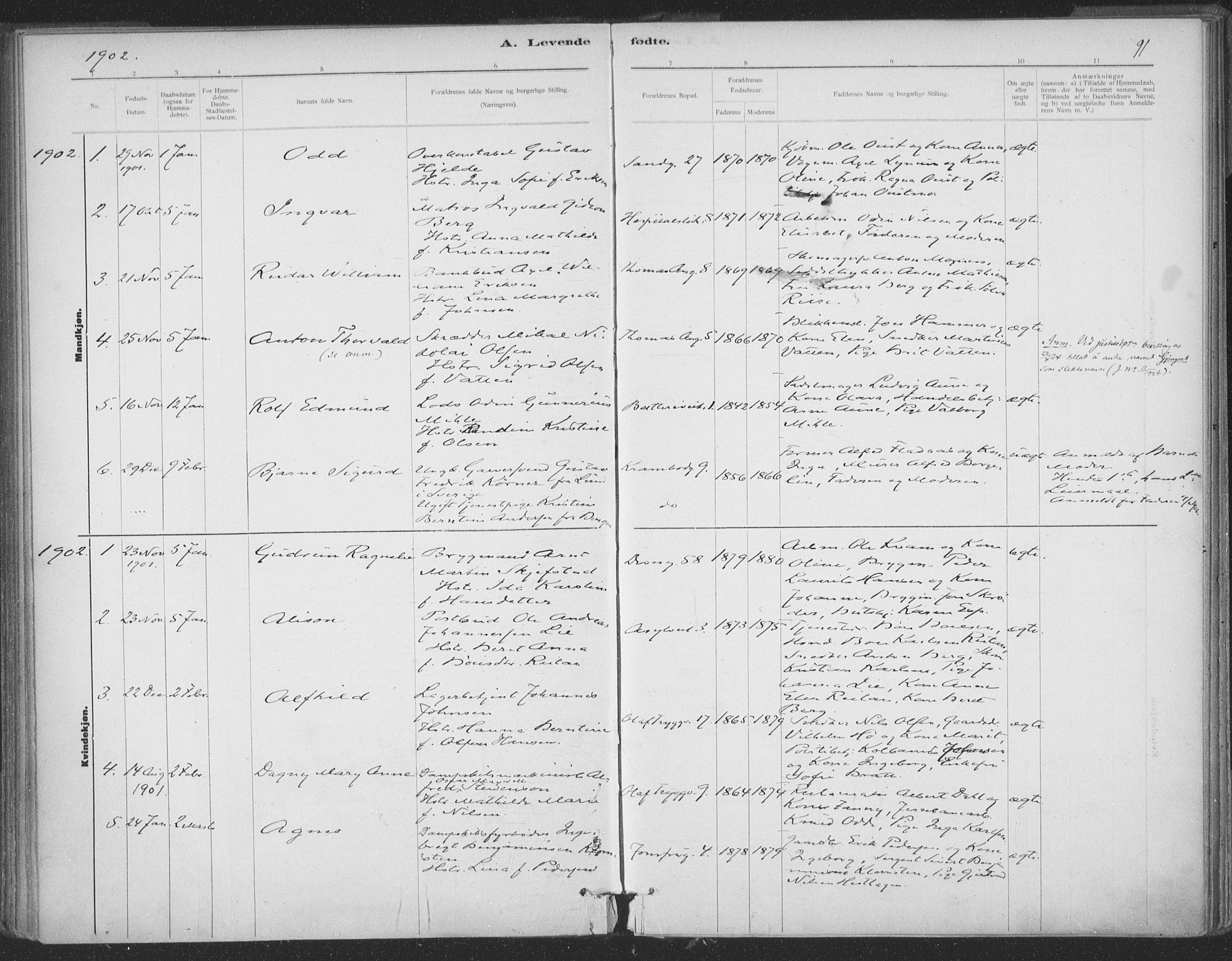 Ministerialprotokoller, klokkerbøker og fødselsregistre - Sør-Trøndelag, SAT/A-1456/602/L0122: Parish register (official) no. 602A20, 1892-1908, p. 91