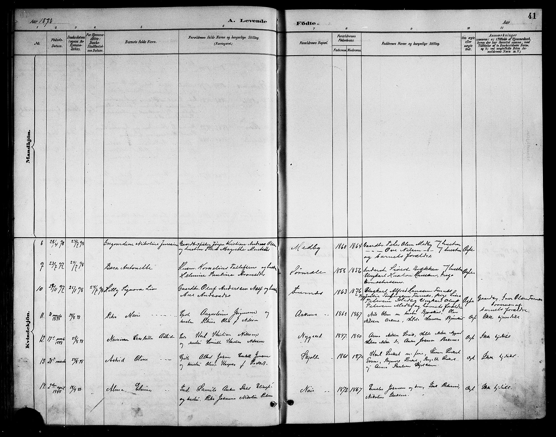 Ministerialprotokoller, klokkerbøker og fødselsregistre - Nordland, AV/SAT-A-1459/898/L1427: Parish register (copy) no. 898C02, 1887-1917, p. 41