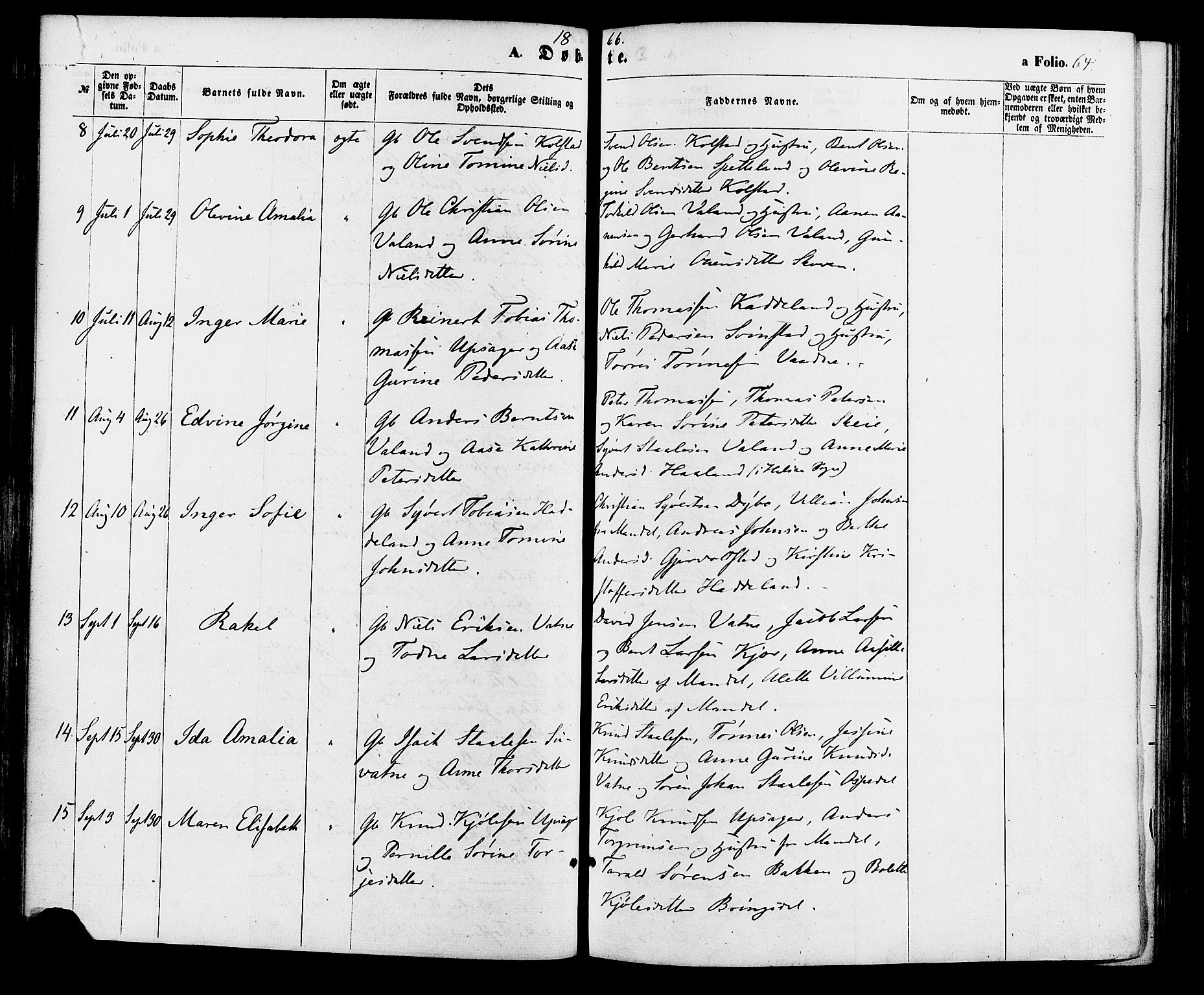 Holum sokneprestkontor, AV/SAK-1111-0022/F/Fa/Faa/L0006: Parish register (official) no. A 6, 1865-1883, p. 64