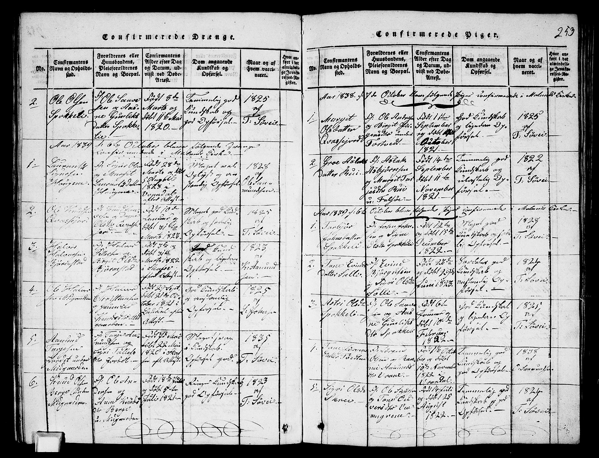 Fyresdal kirkebøker, SAKO/A-263/G/Ga/L0003: Parish register (copy) no. I 3, 1815-1863, p. 253