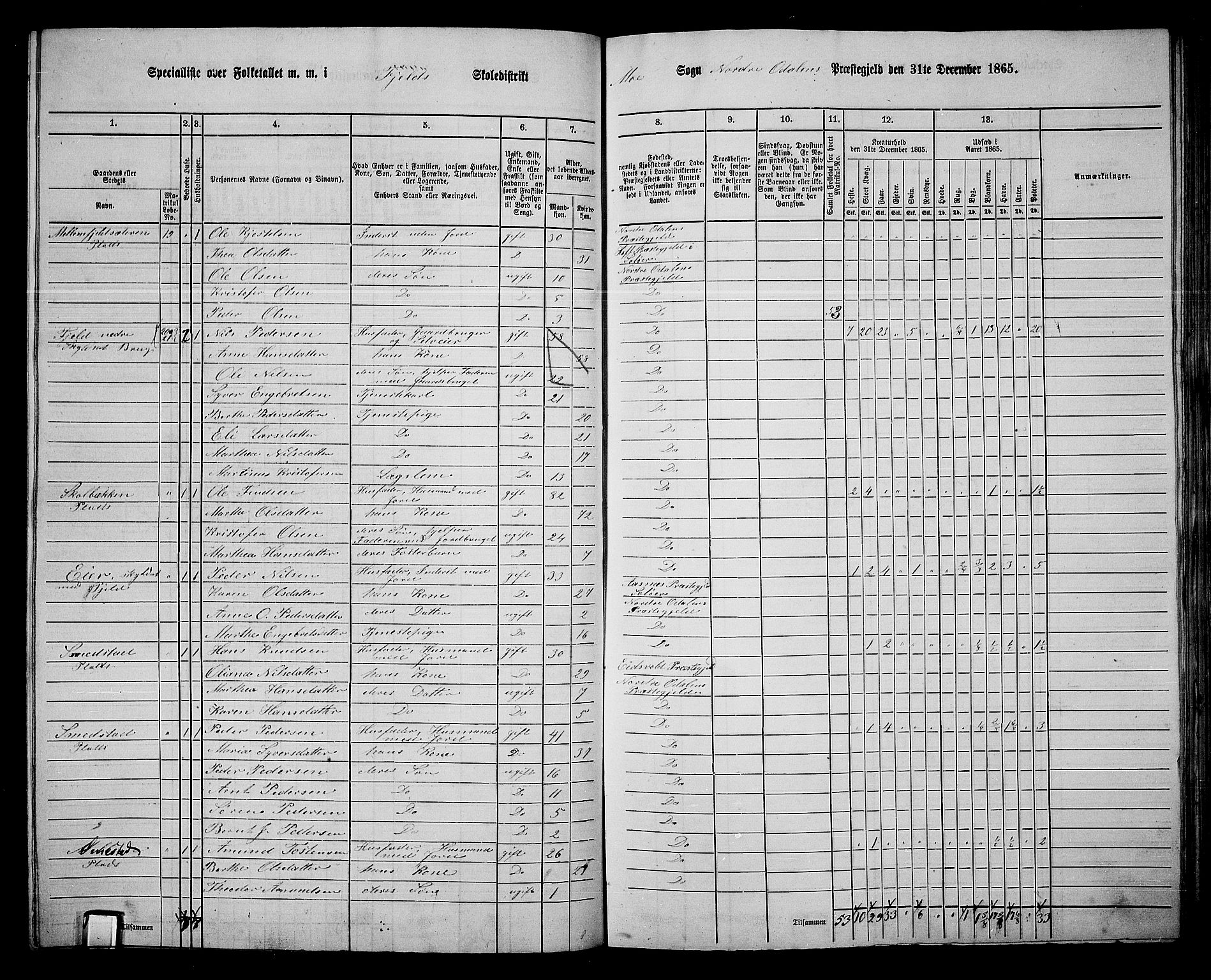 RA, 1865 census for Nord-Odal, 1865, p. 102